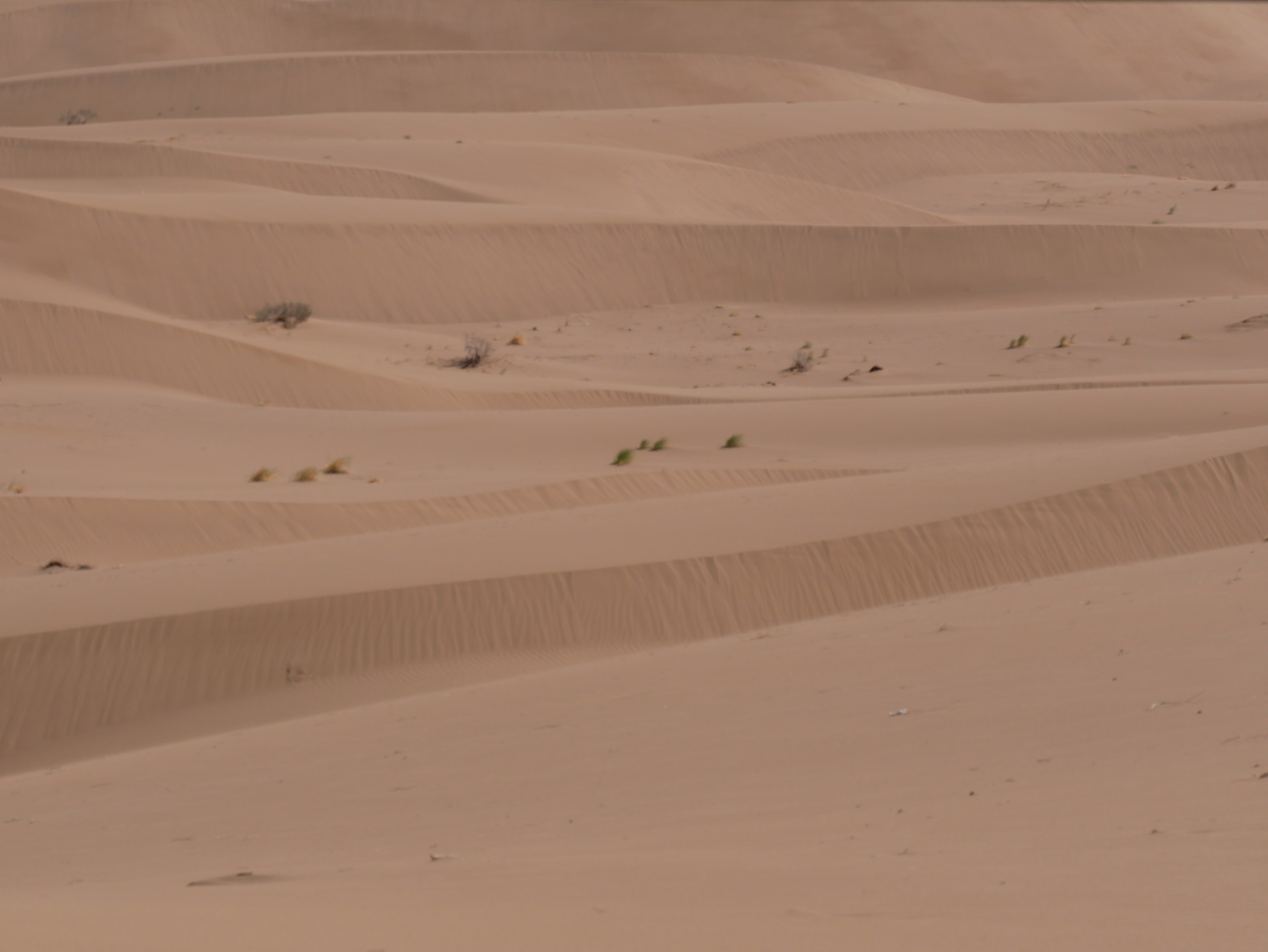 désert de Maranjob