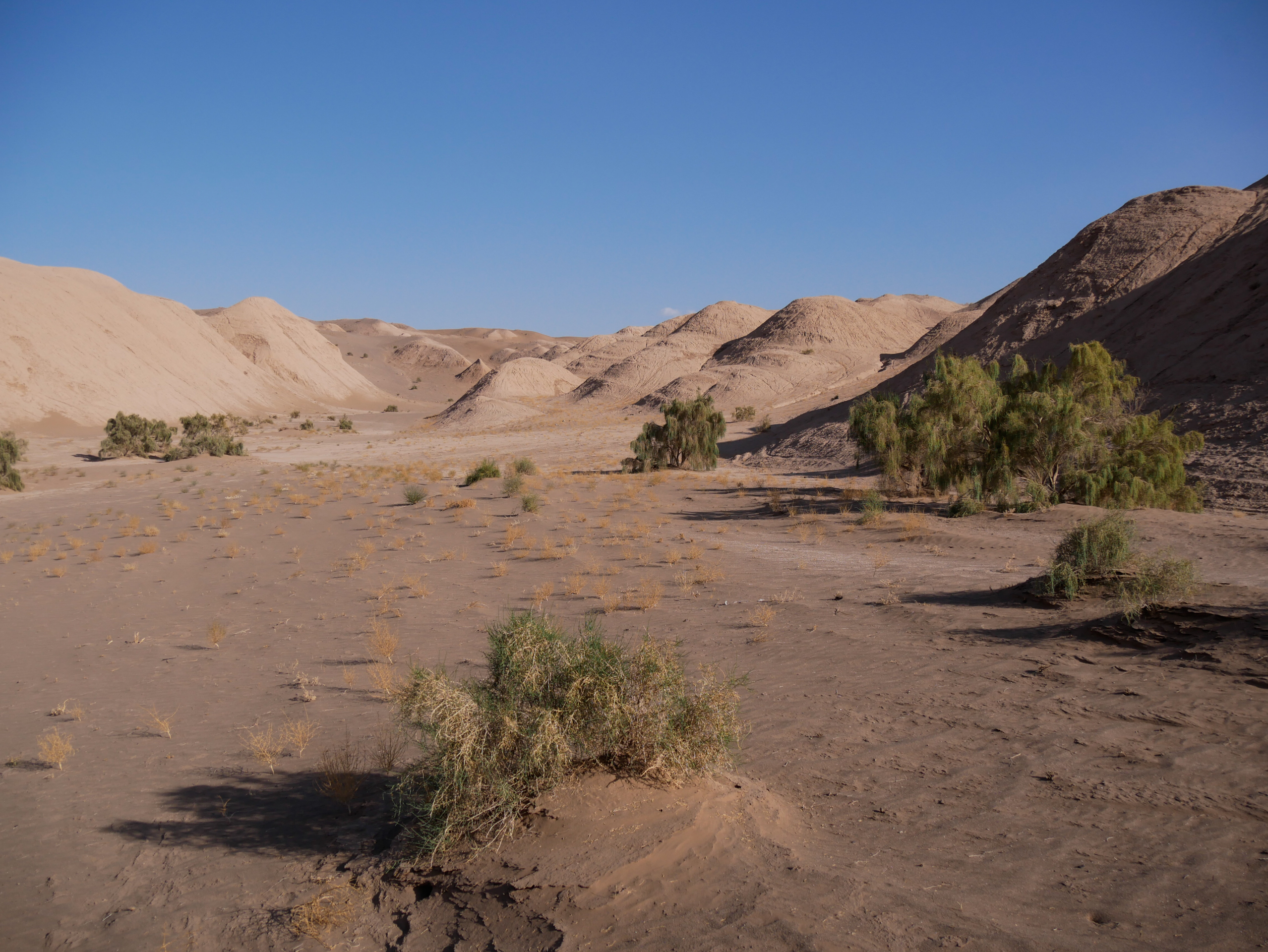 Kashan et ses environs