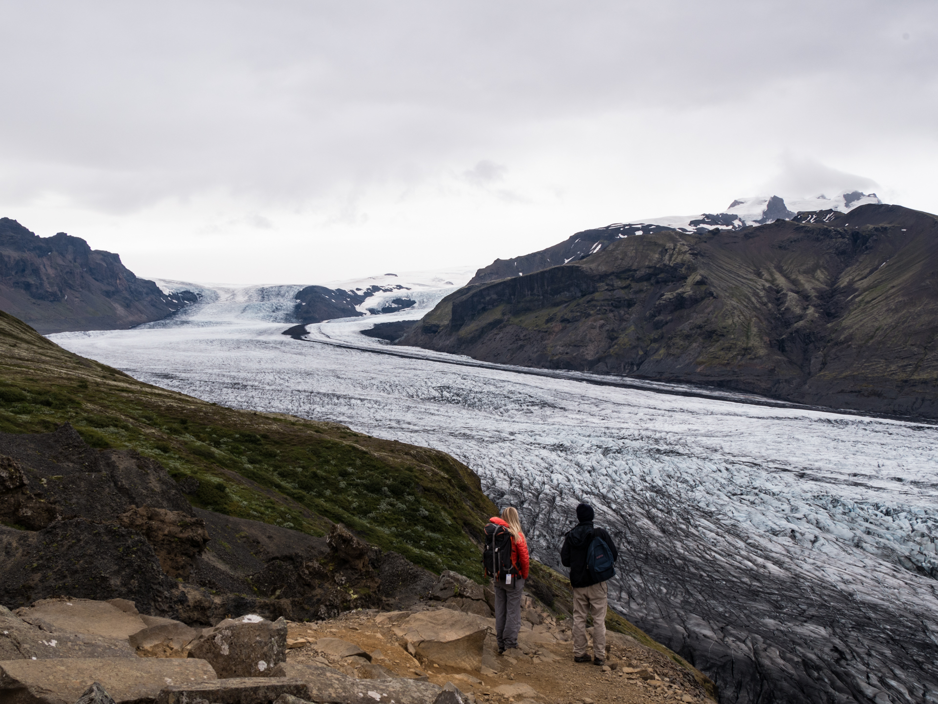 Langue glaciaire du Skaftafellsjökul