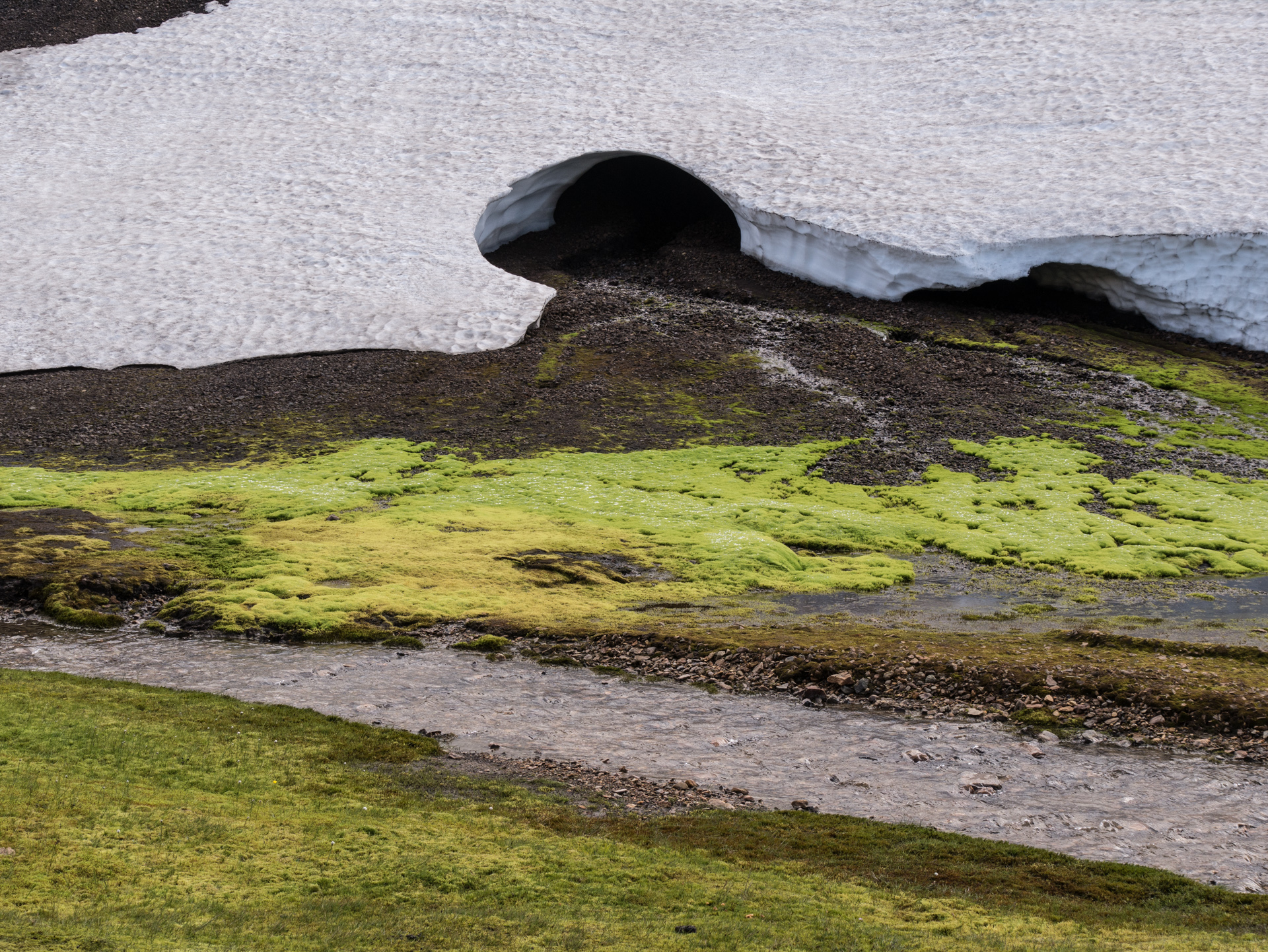 Du Landmannalaugar à Reykjavik