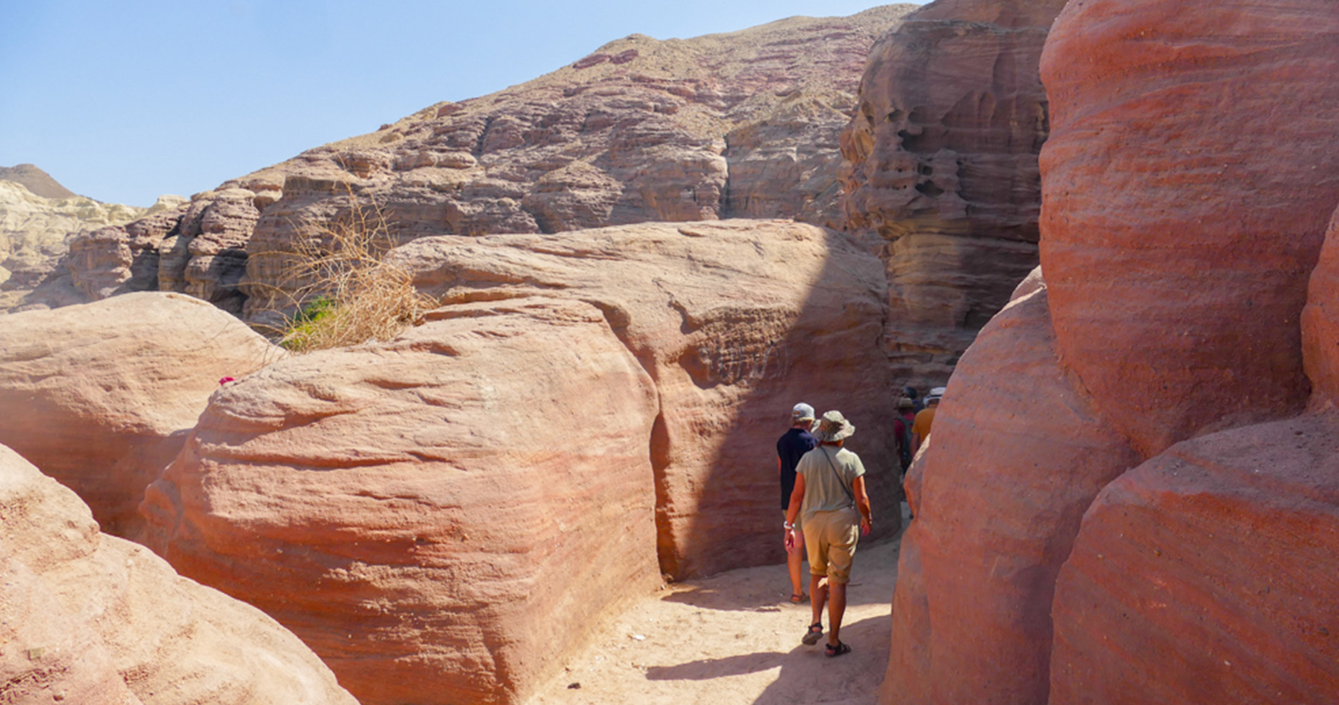 Wadi Al Hasa