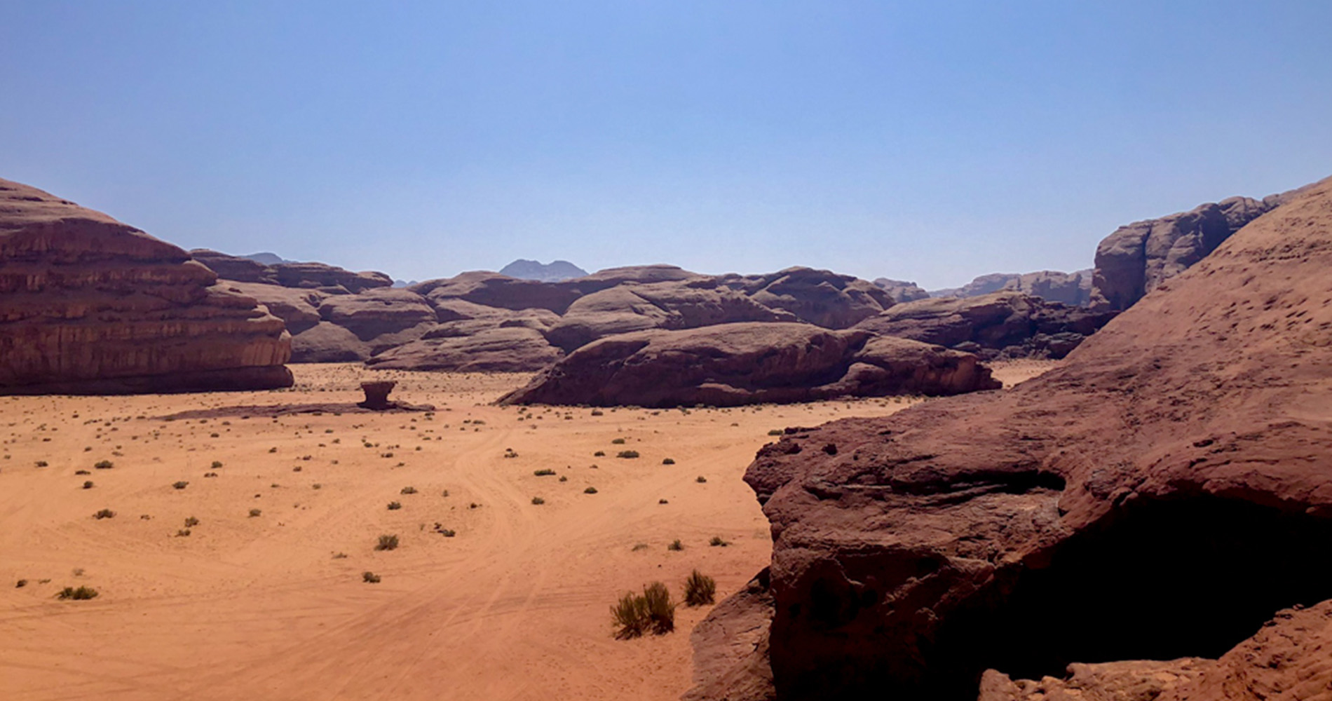 Un champignon au milieu du Wadi Rum