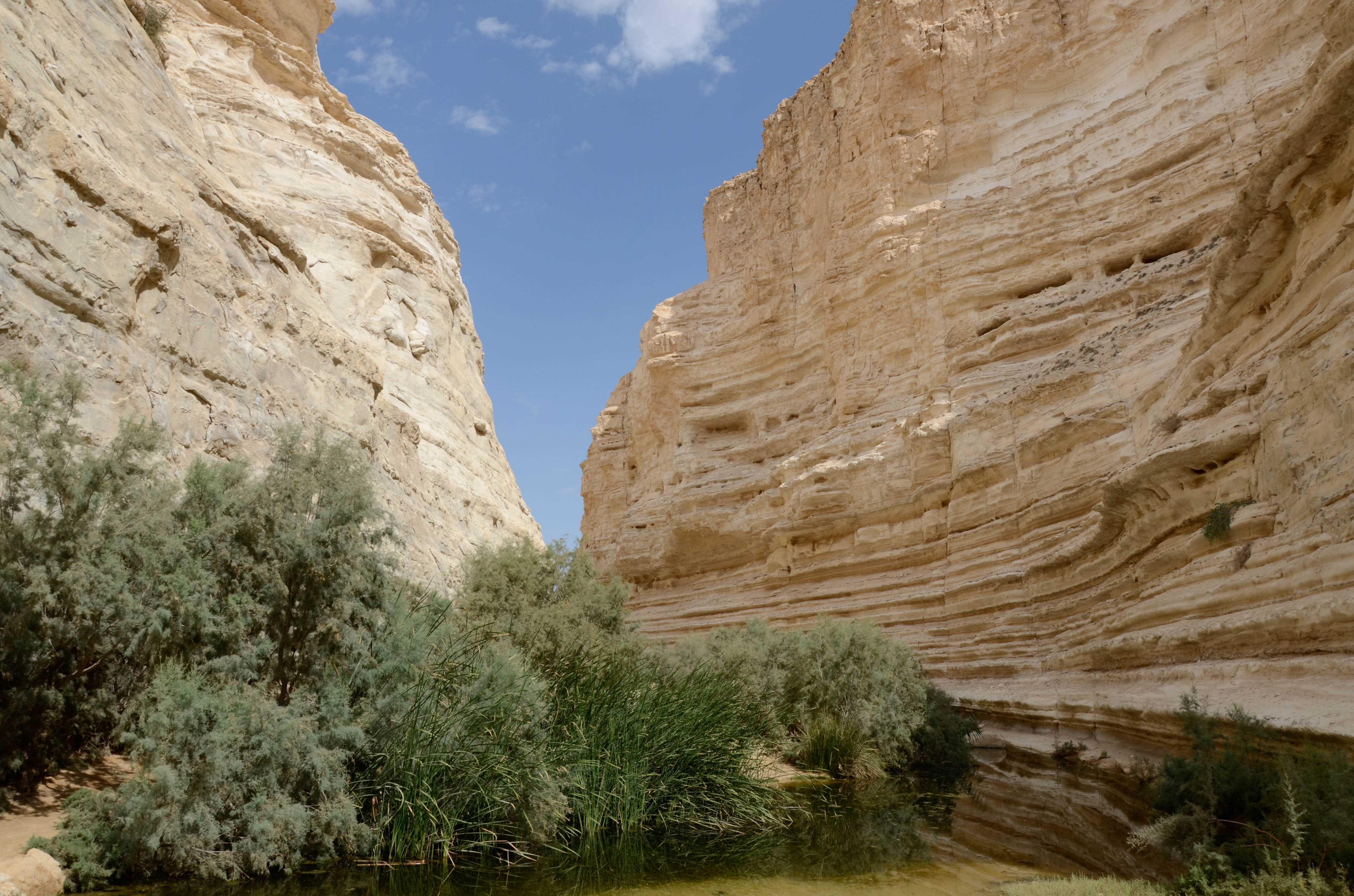 Marche dans le Wadi Tsin