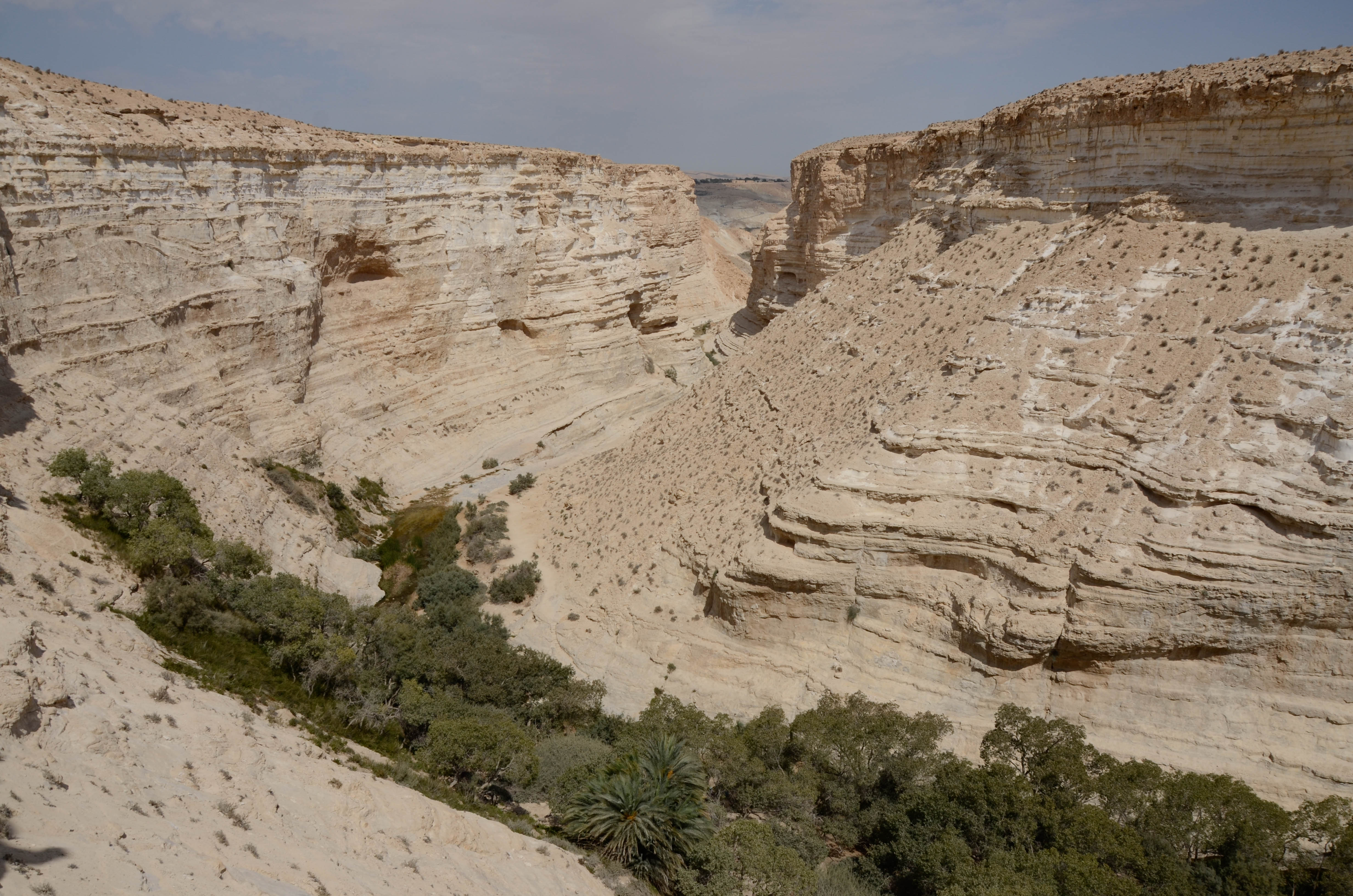 Marche dans le Wadi Tsin