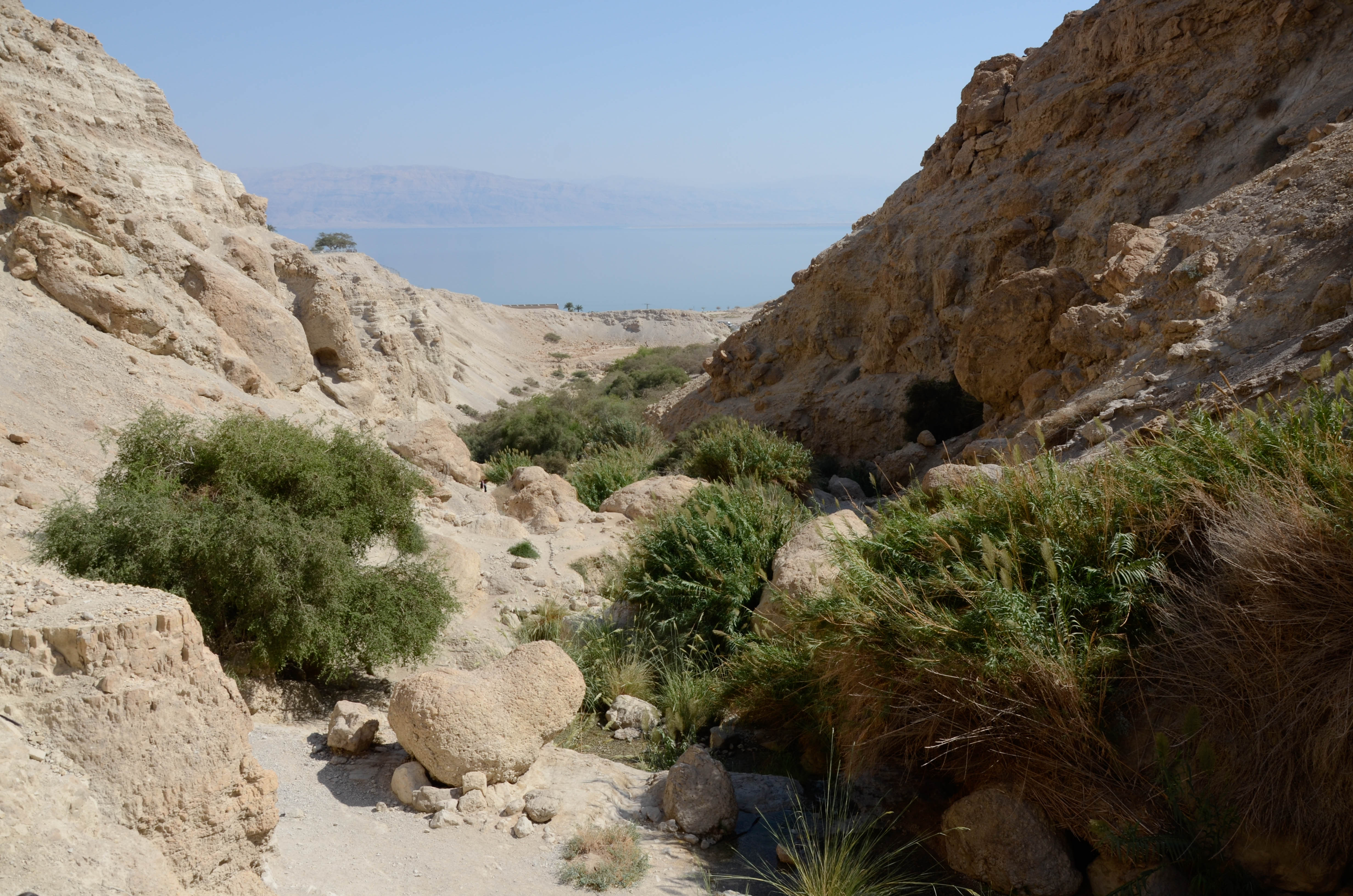 Rando à l'Ein Gedi    