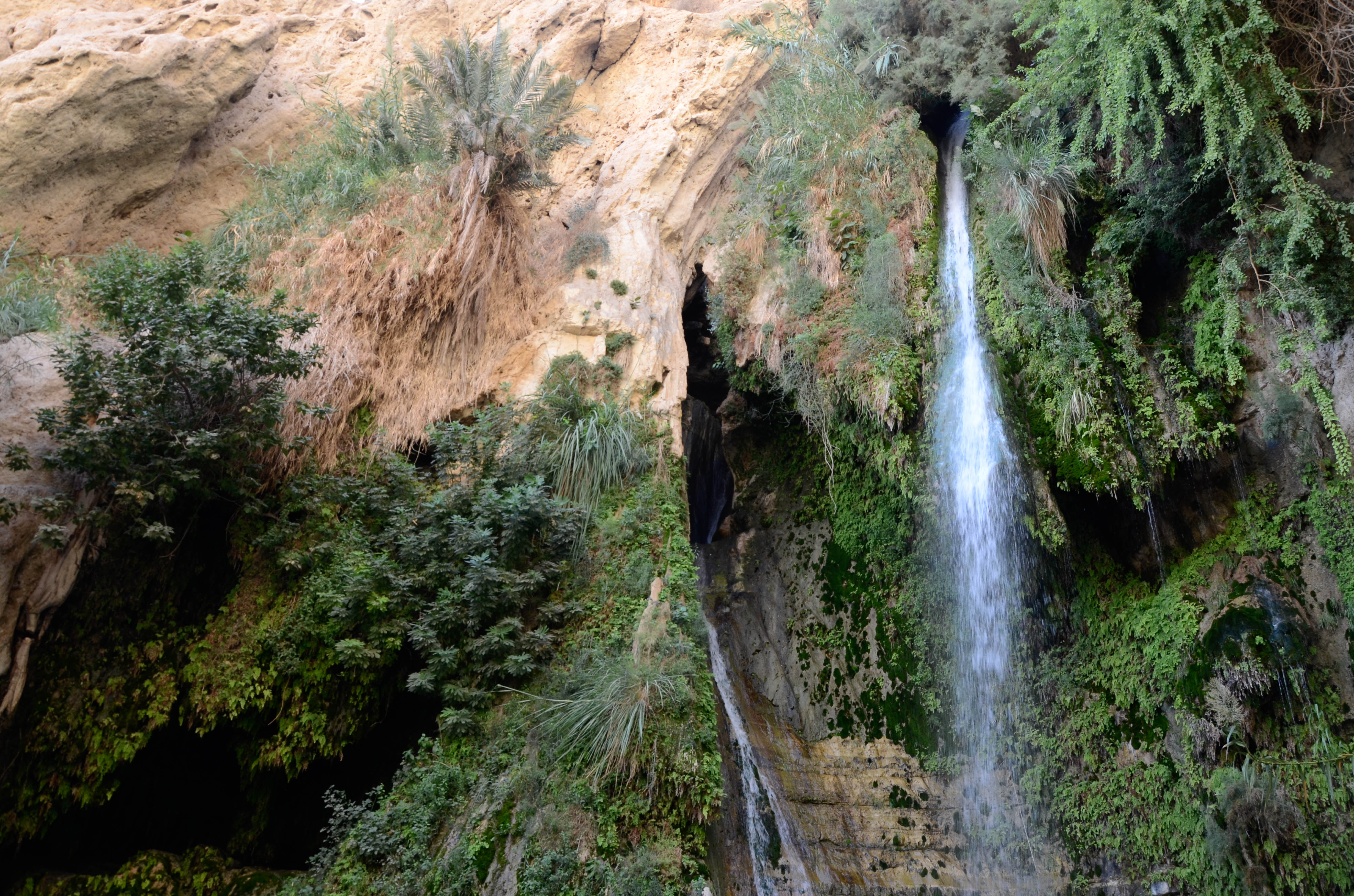 Cascade d'Ein Gedi