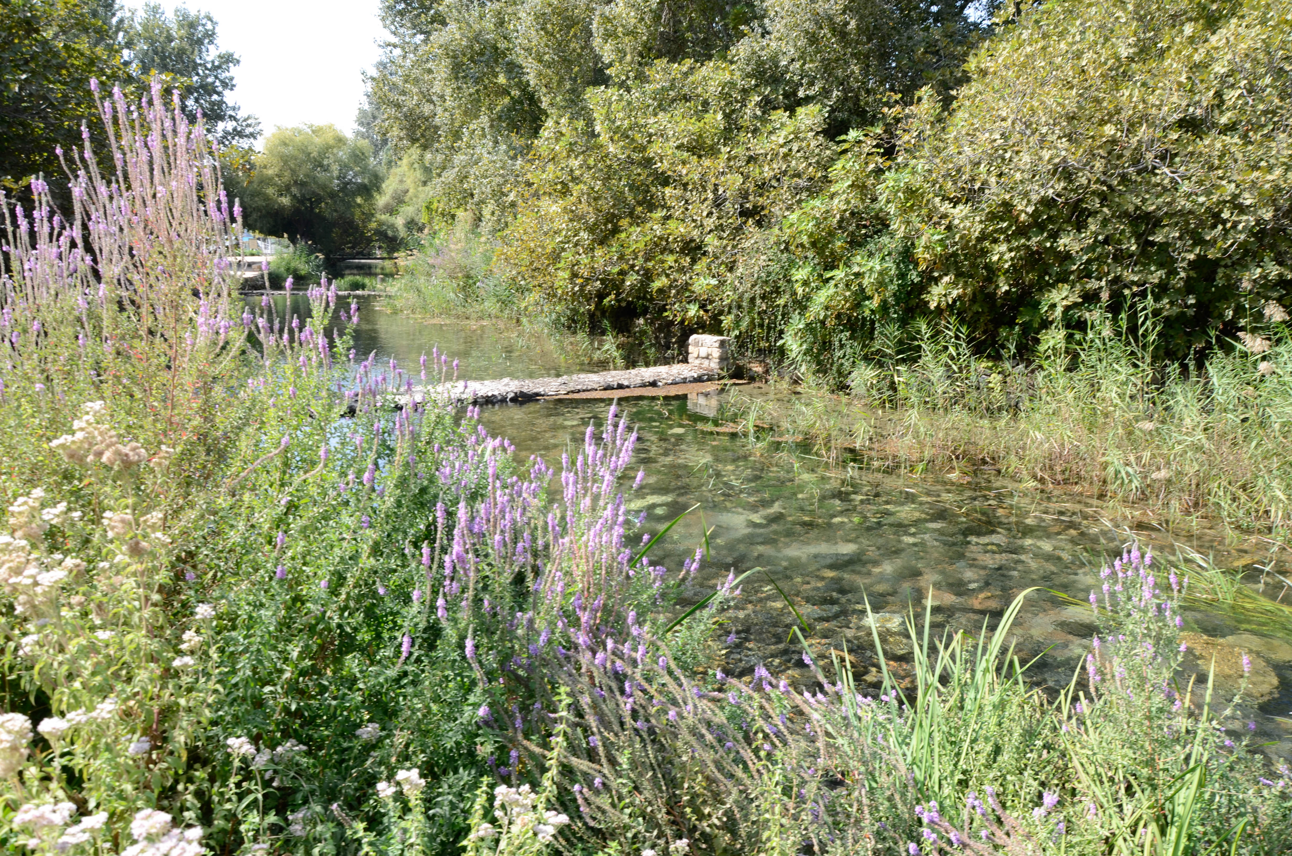 Réserve naturelle de Banias