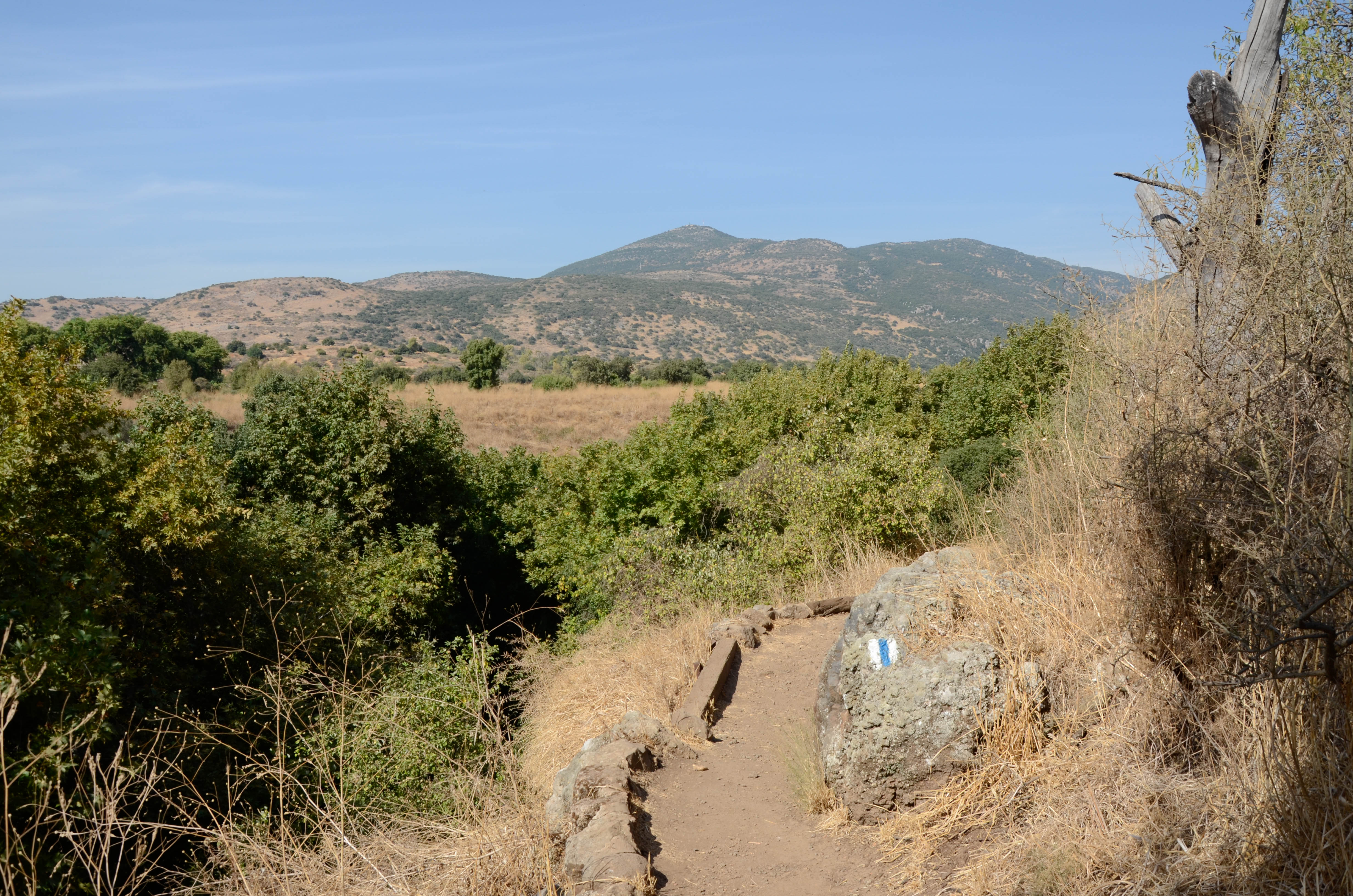 Réserve naturelle de Banias