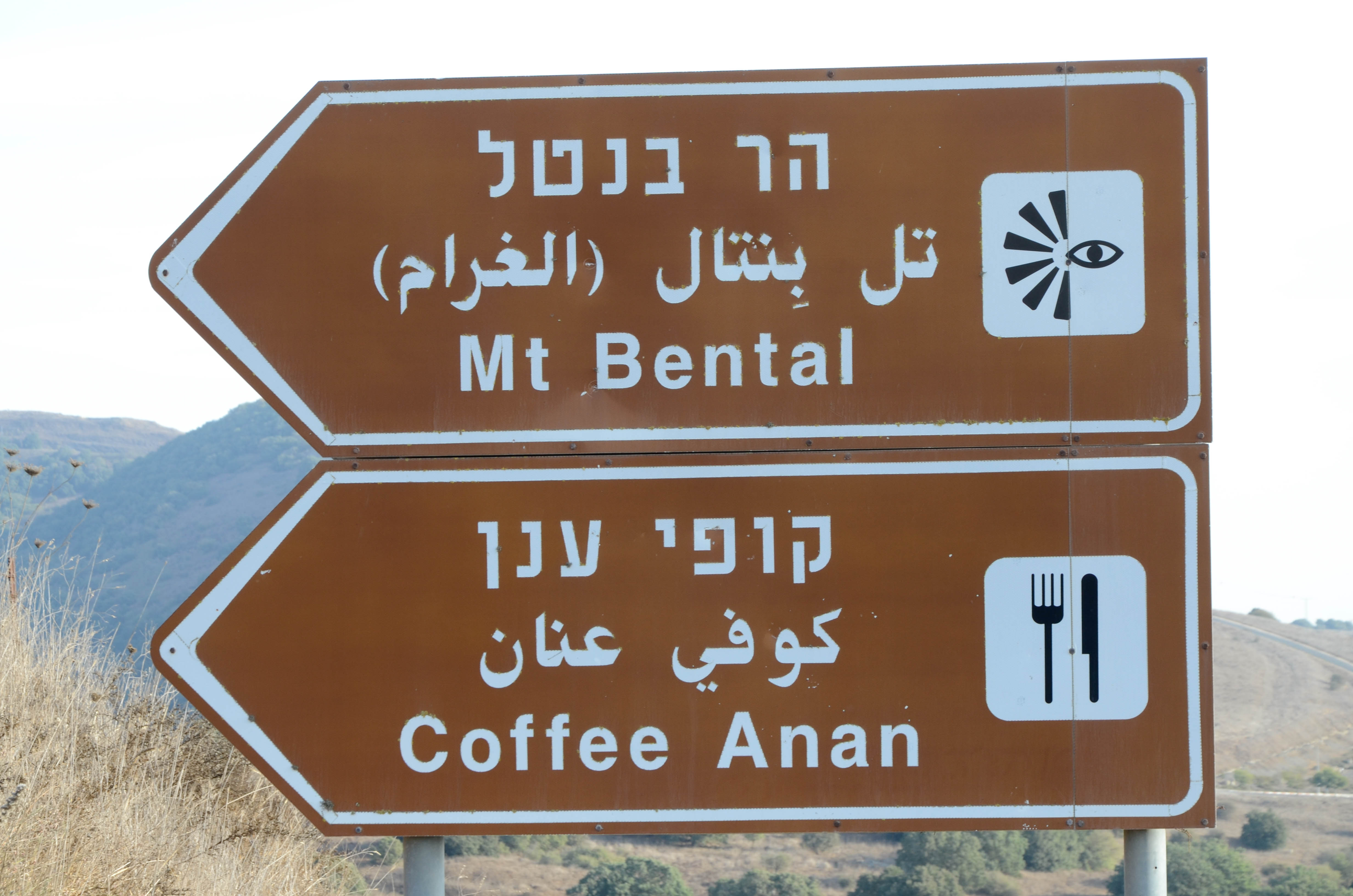 En route pour le Coffee Anan du Mont Bental...