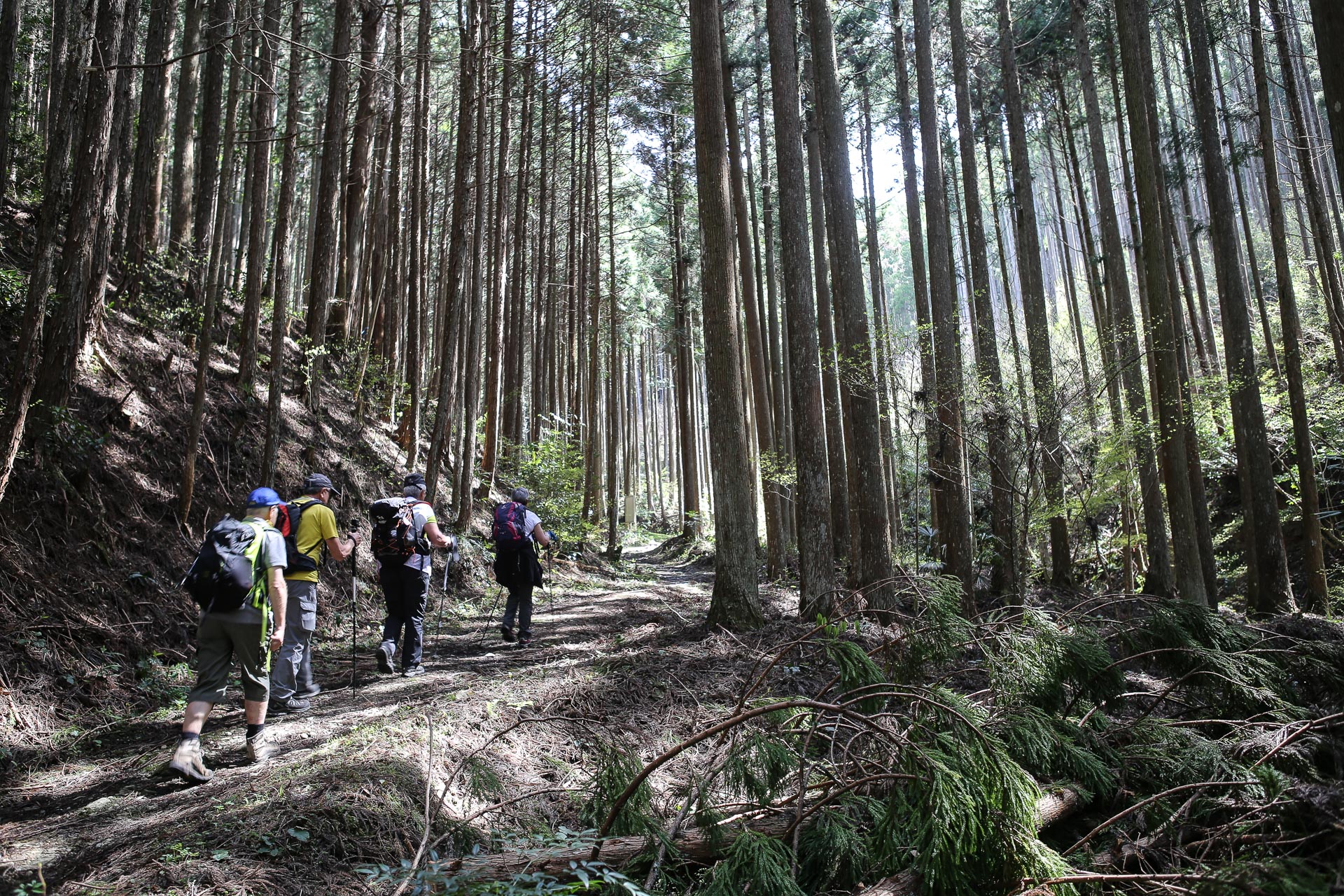 Montée au premier col, au-dessus de Daiho-ji