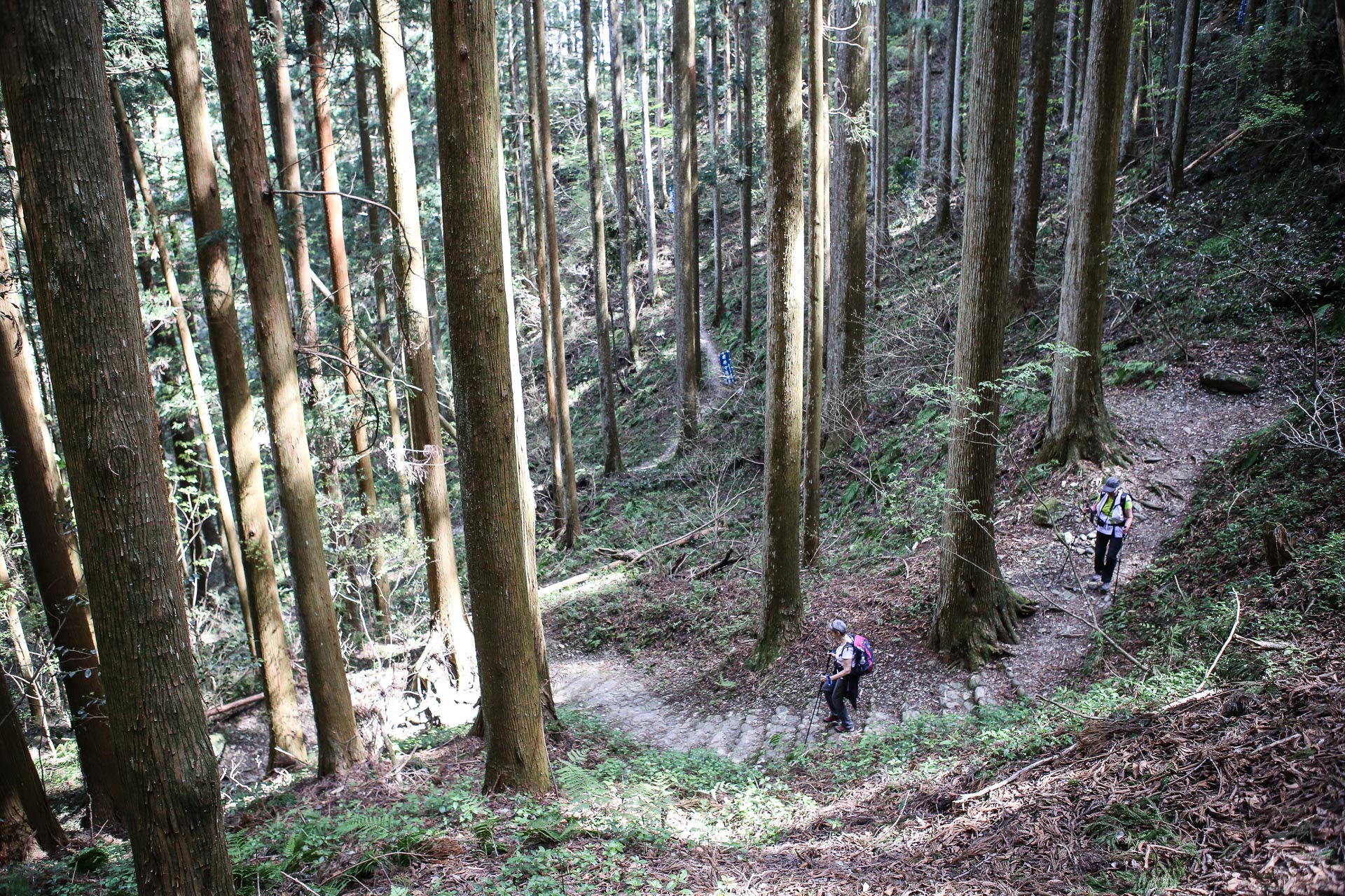 Descente sur Iwaya-ji