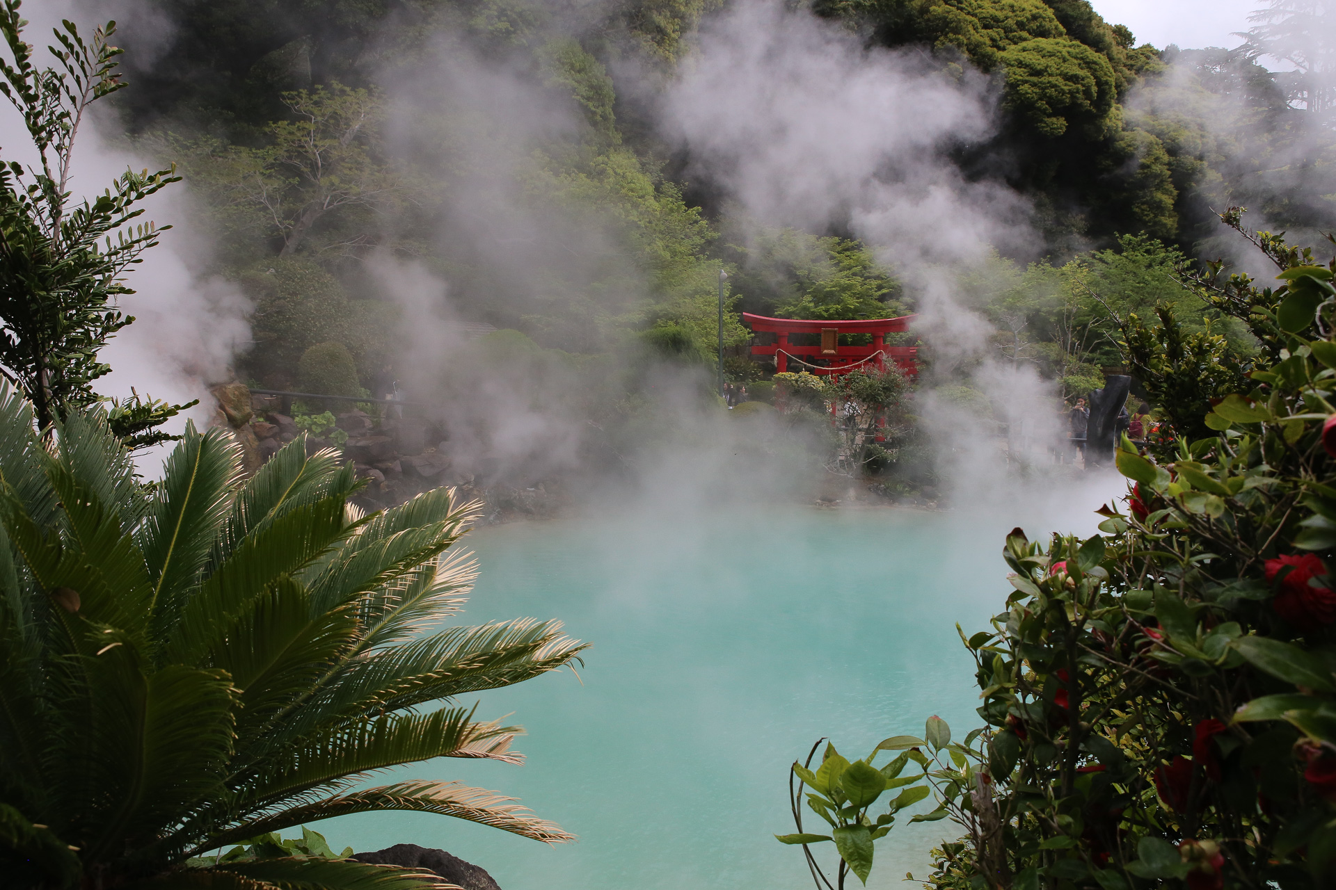 Il y a une dizaine de sites à Beppu qui constituent la vallée de l’enfer