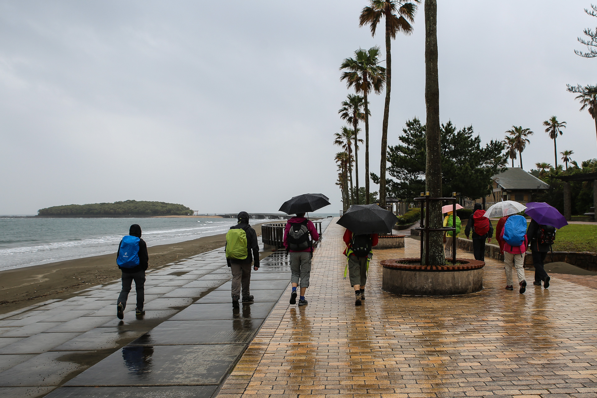 D’Aoshima à Kirishima Onsen