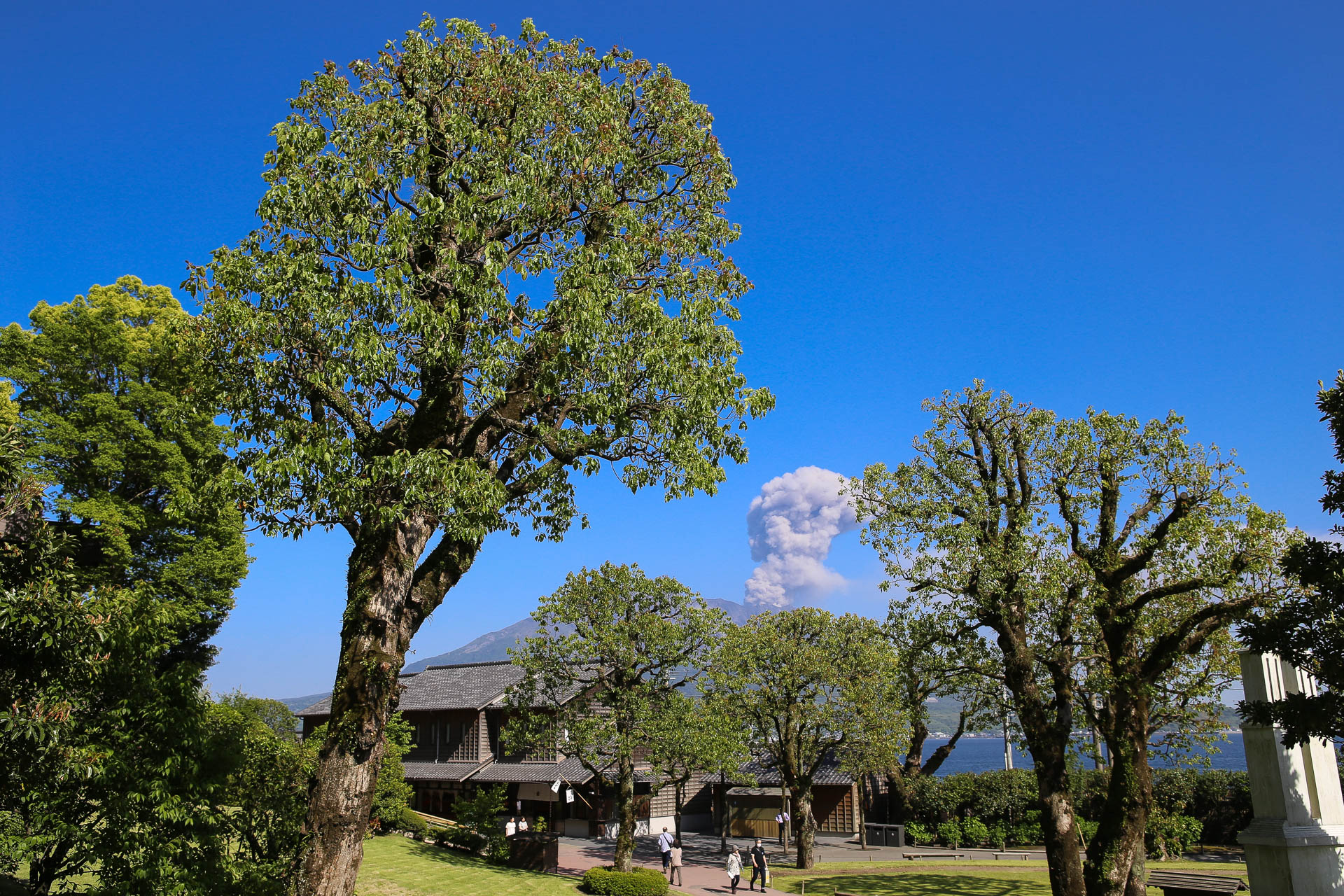 Autour de Kagoshima : la presqu’île de Sakurajima