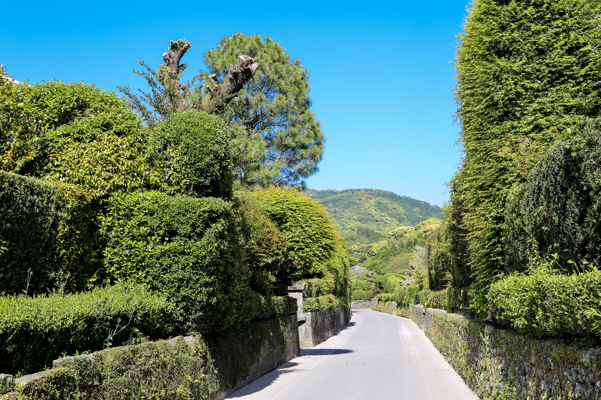 La péninsule de Satsuma