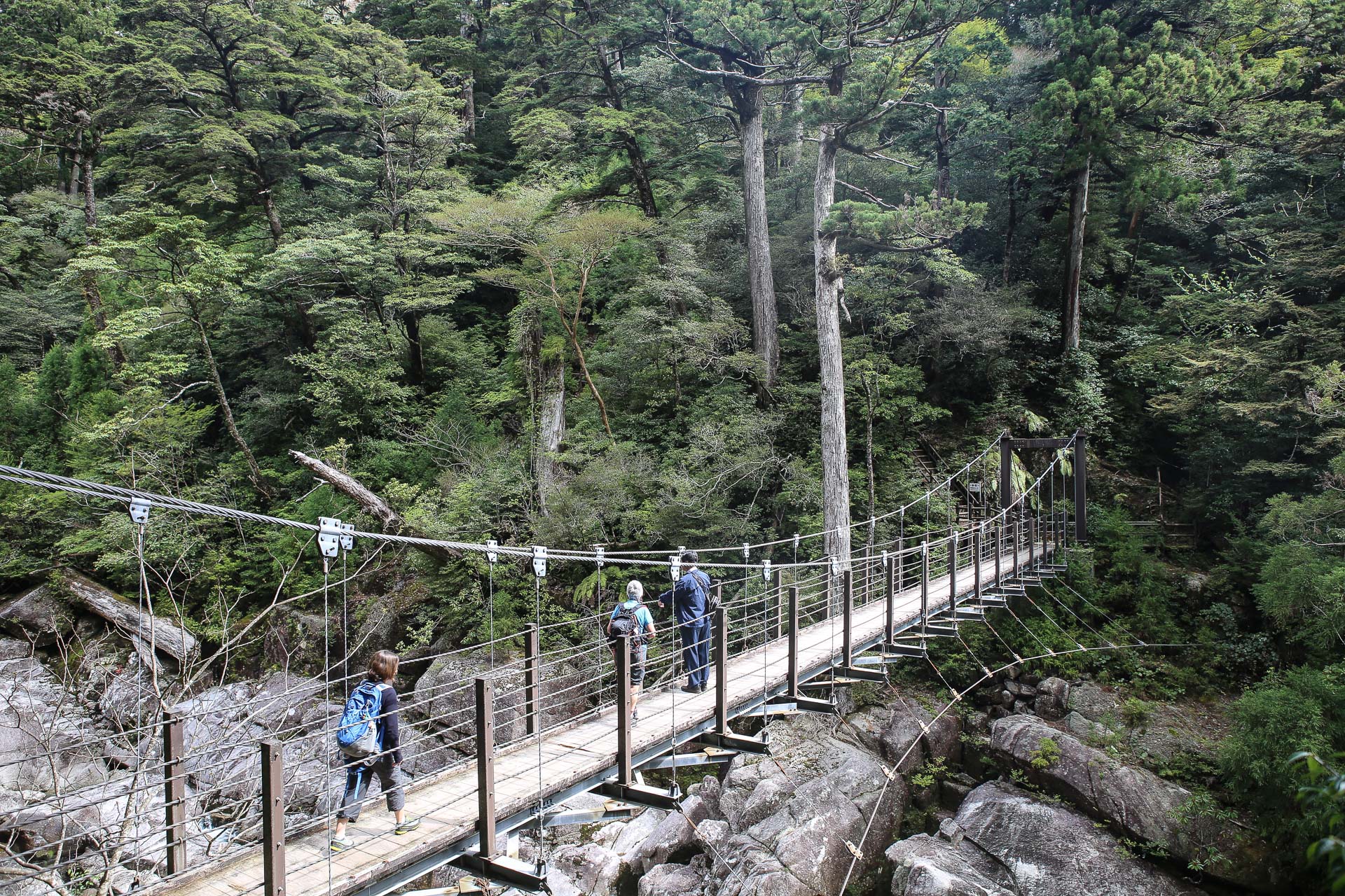 De Yakushima à Okinawa