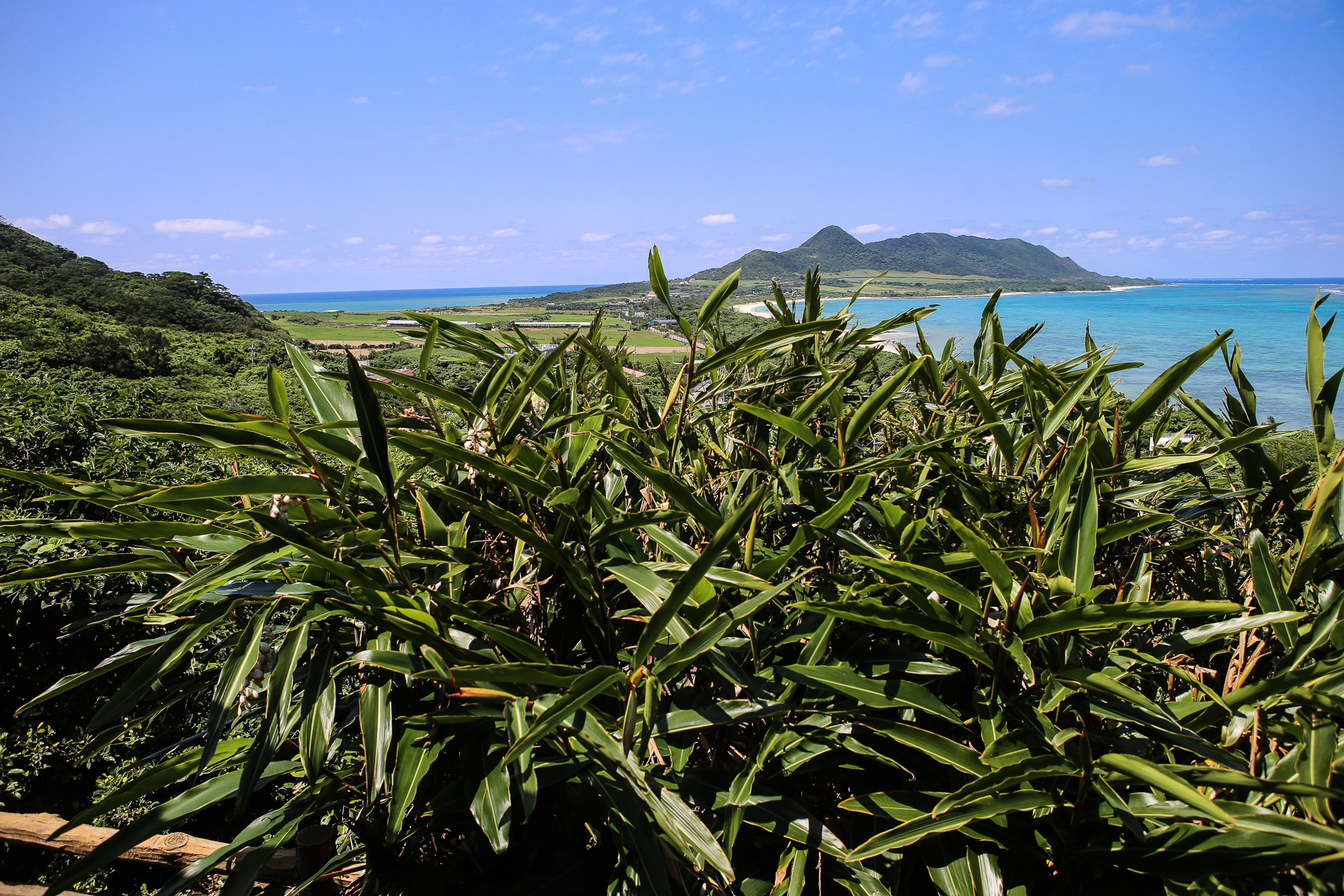 Vue sur le nord de l’île depuis le cap de Tamatorizaki