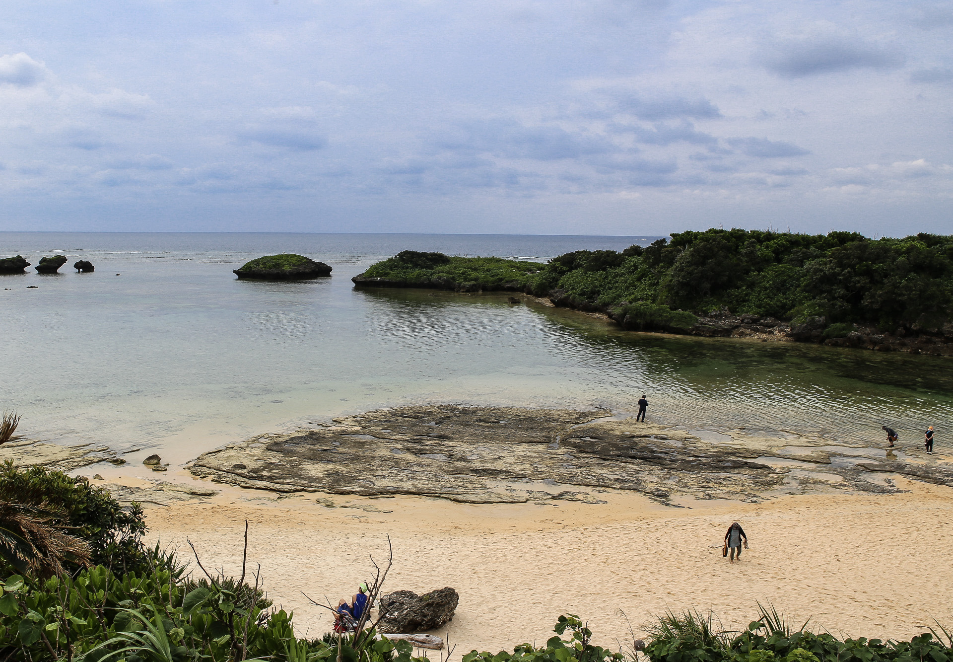 Bord de mer iriomote