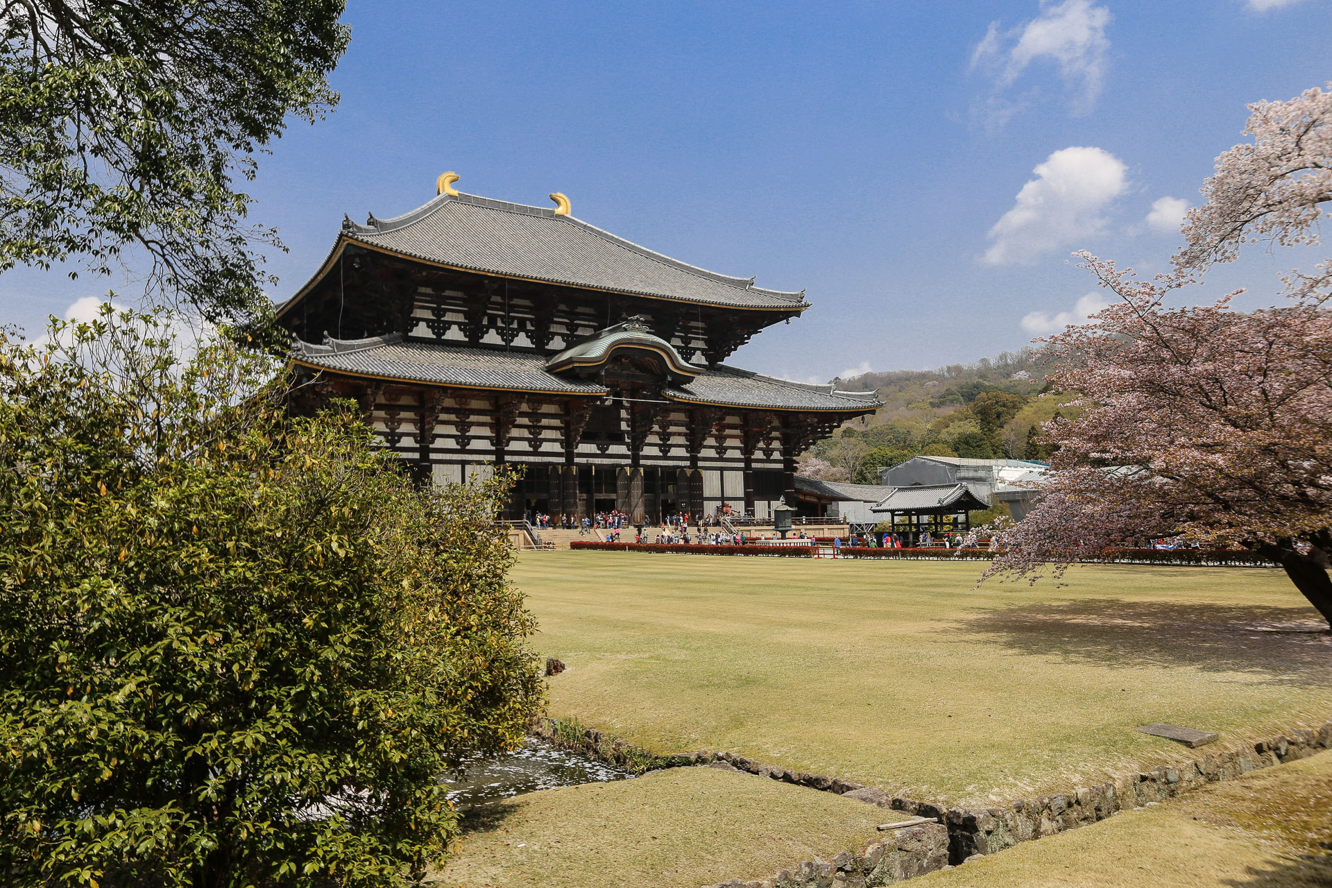 Arrivée devant le pavillon du grand Bouddha