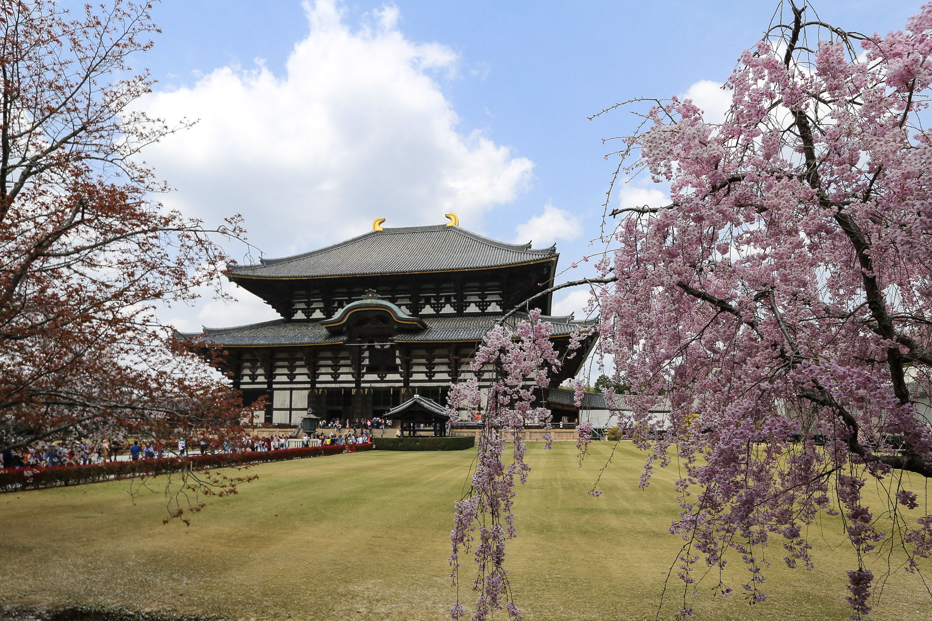 Pavillon Grand Bouddha Nara