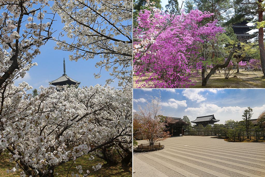 Temple Ninna-ji Kyoto