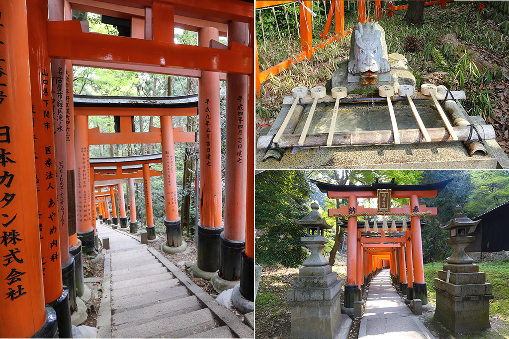 sentier Fushimi Inari
