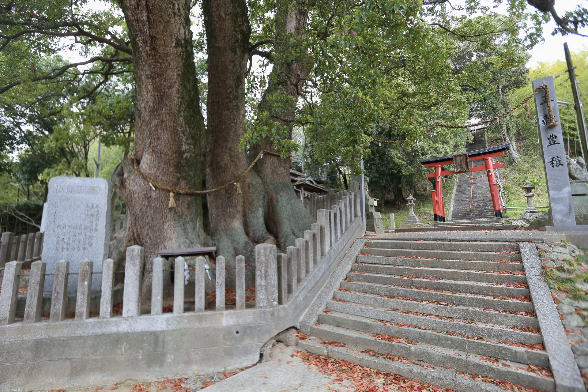 Le sanctuaire shinto (repéré à cause de son Tori) de Hokokuji