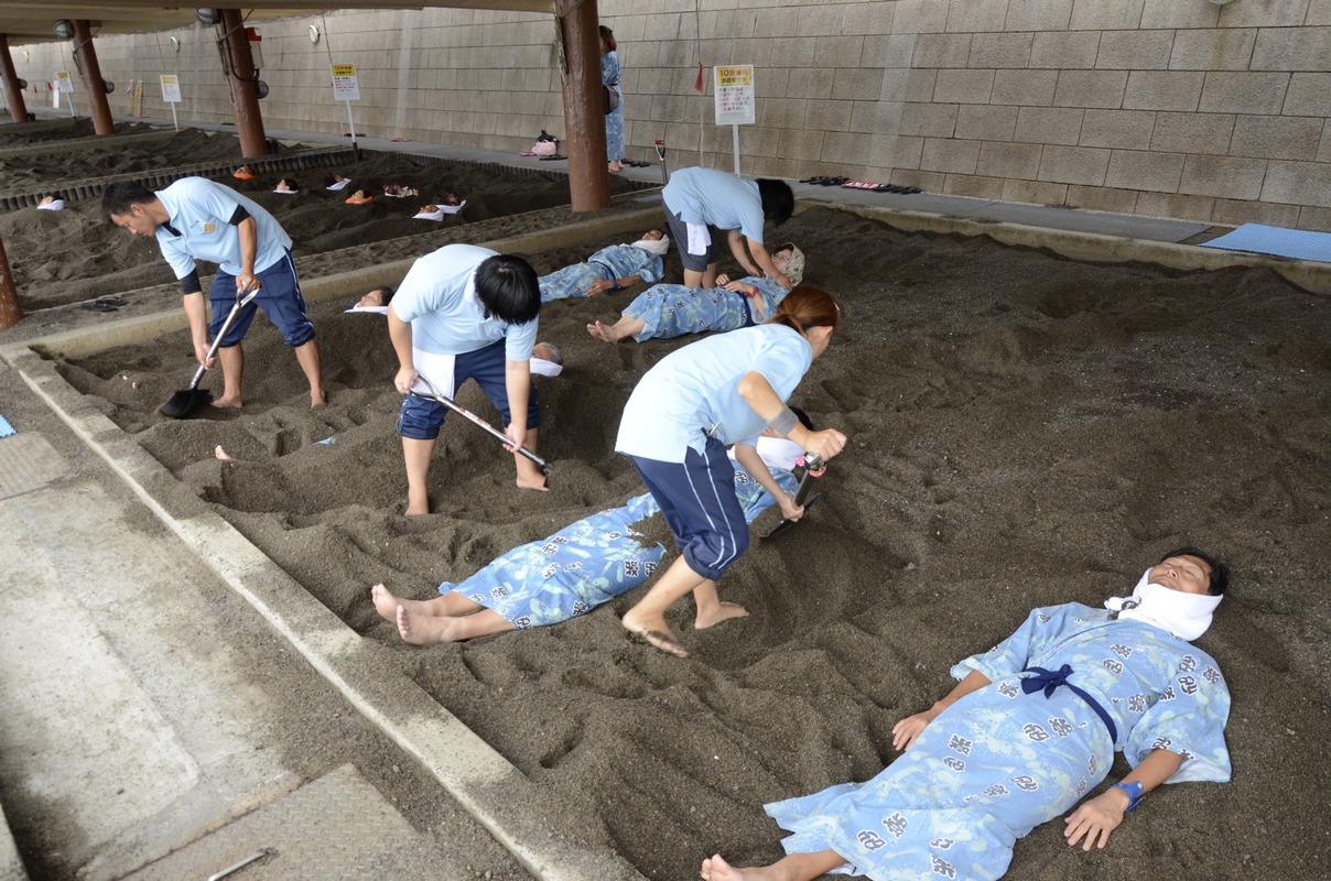 Le Japon, aux quatre saisons