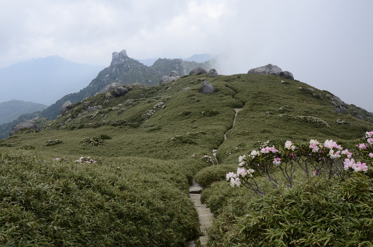 L'île de Kyushu