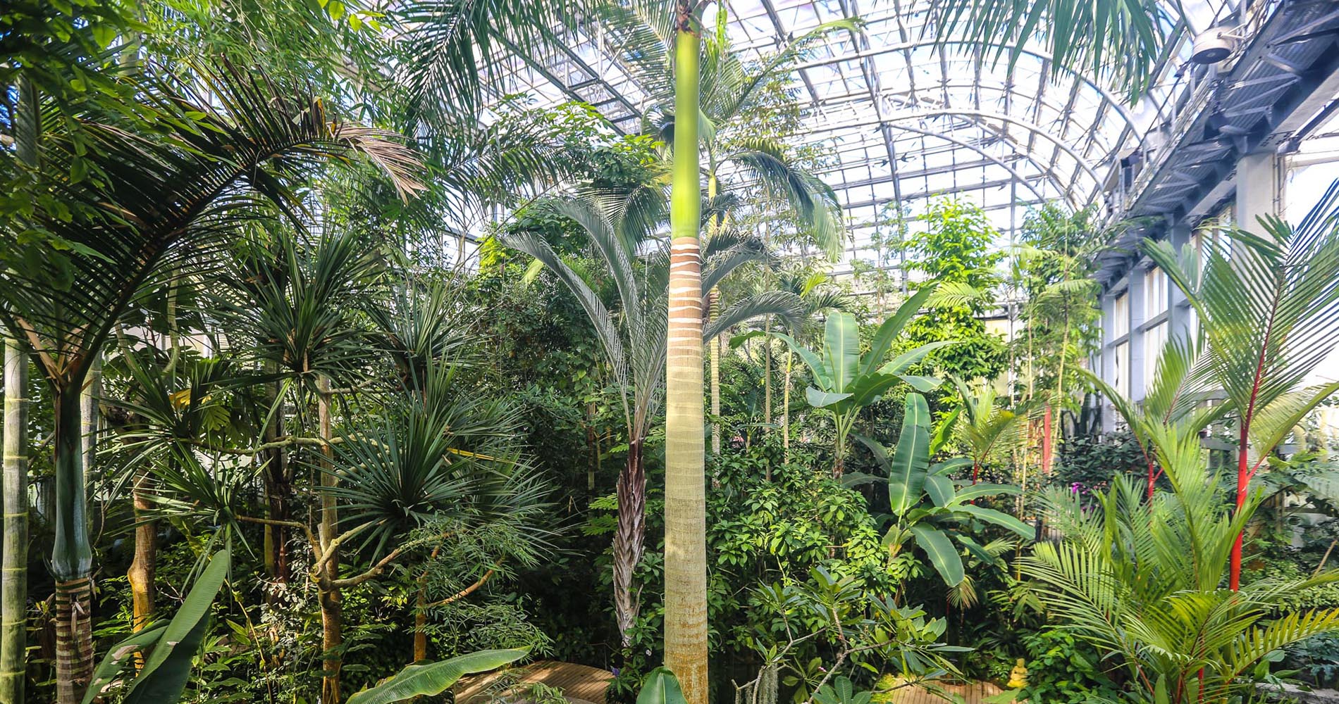 La serre du Botanical Garden