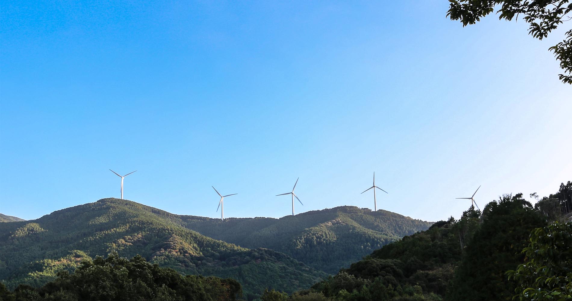 Eoliennes = laideur et bruit infernal !