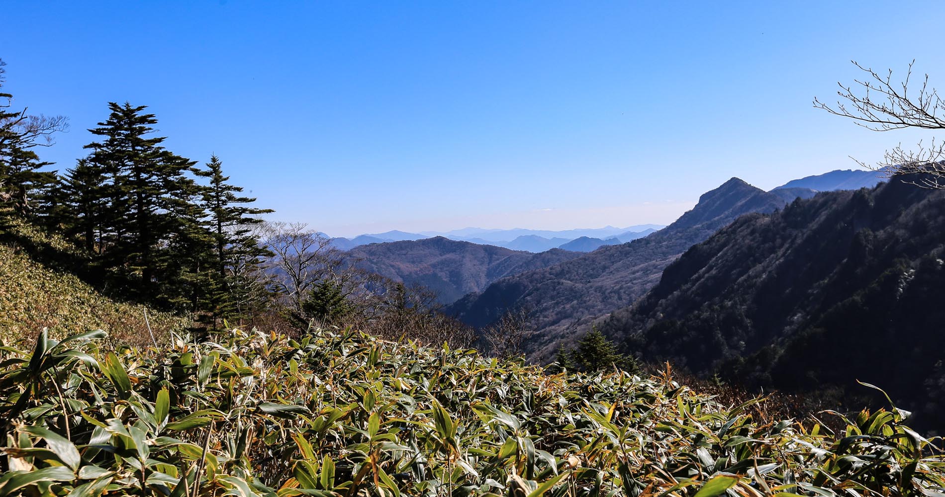 L’île de Shikoku est très montagneuse