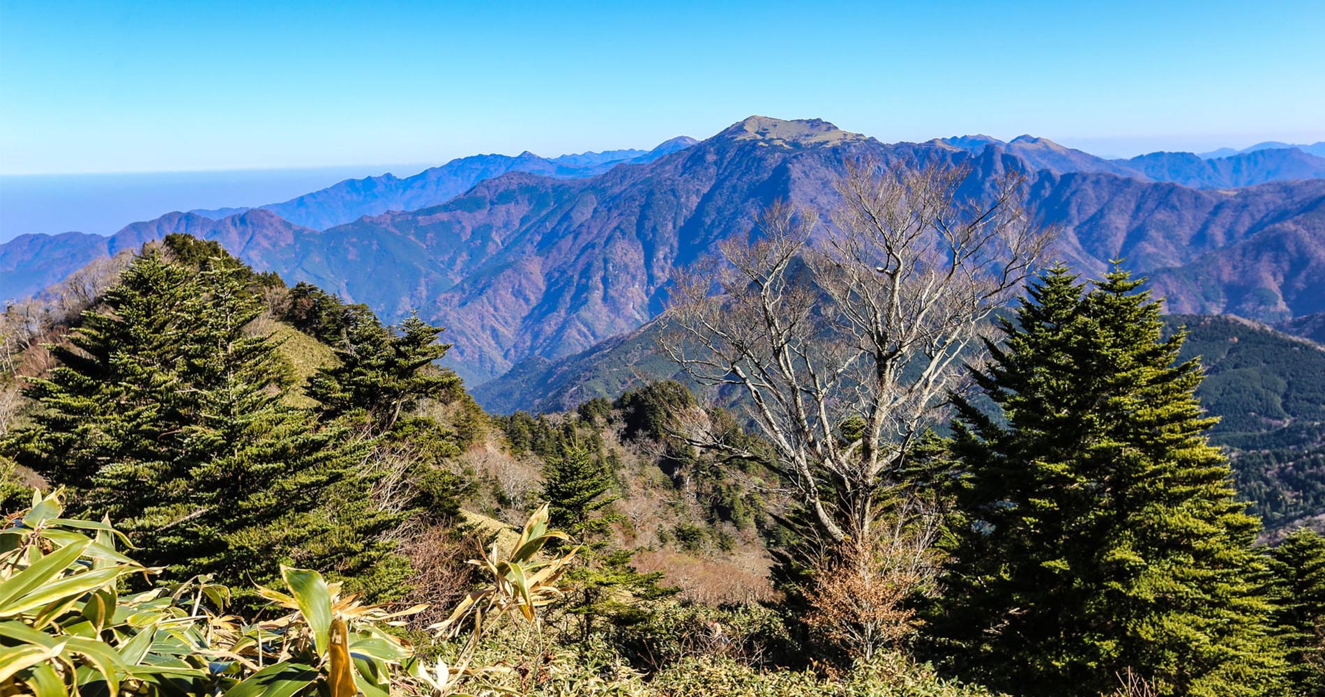 Panorama lors de la montée