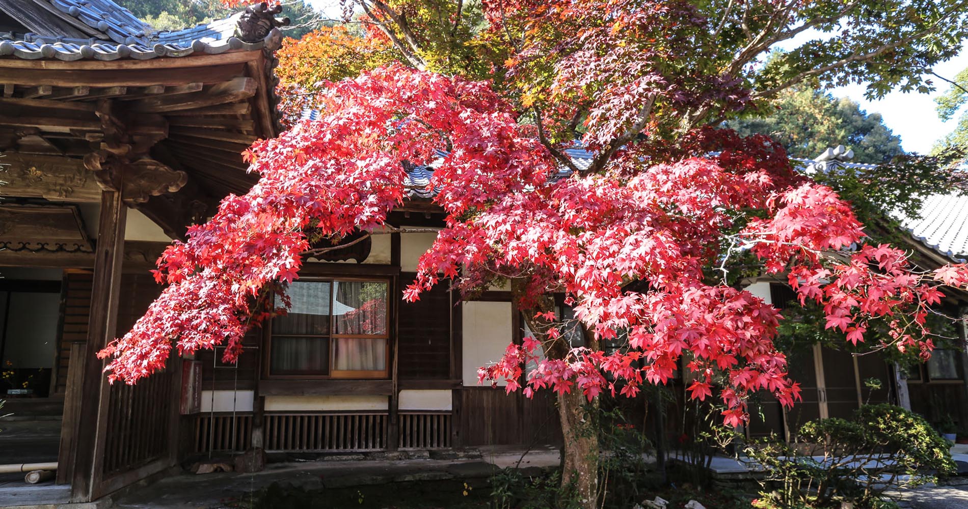 L’automne s’est installé à Sankakuji