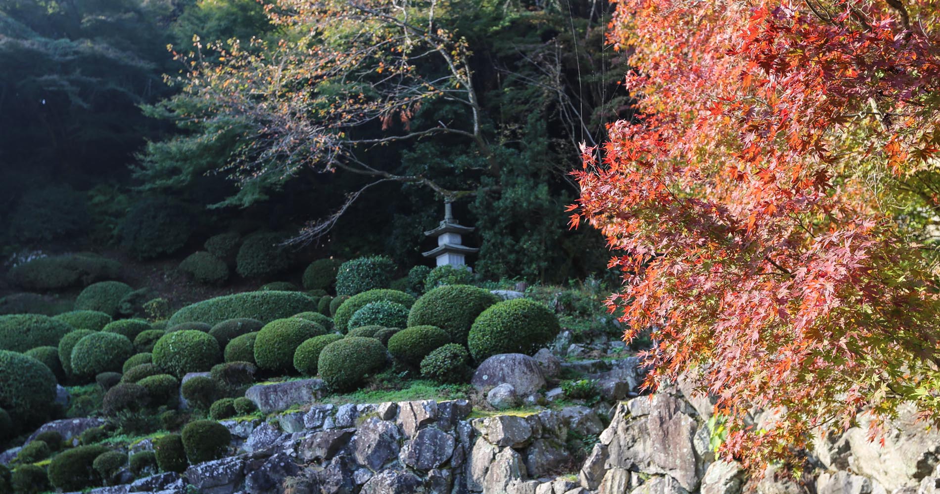 Jardin du temple Jinnein