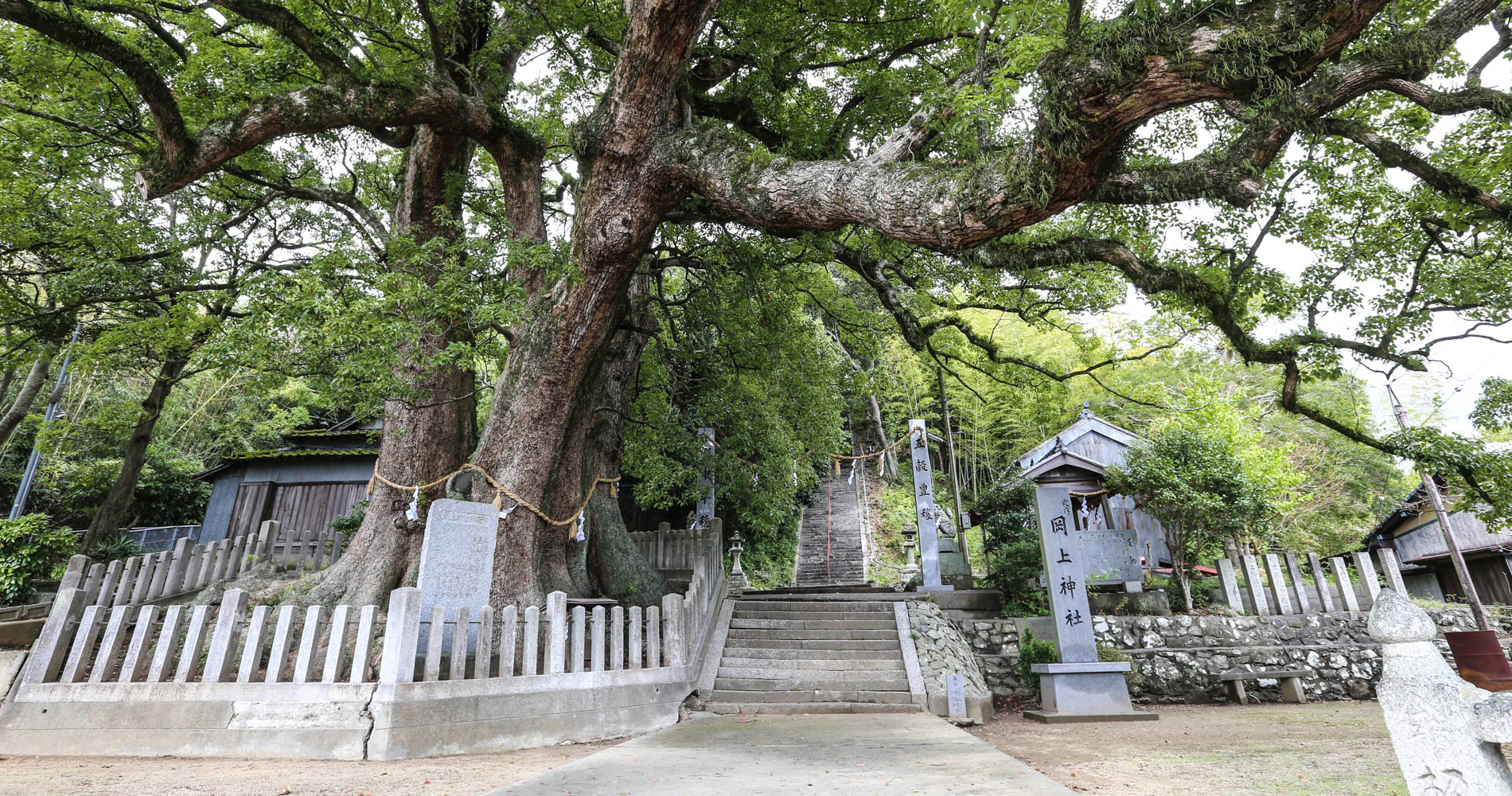 Escalier menant à un sanctuaire shinto : Suwa Jinja