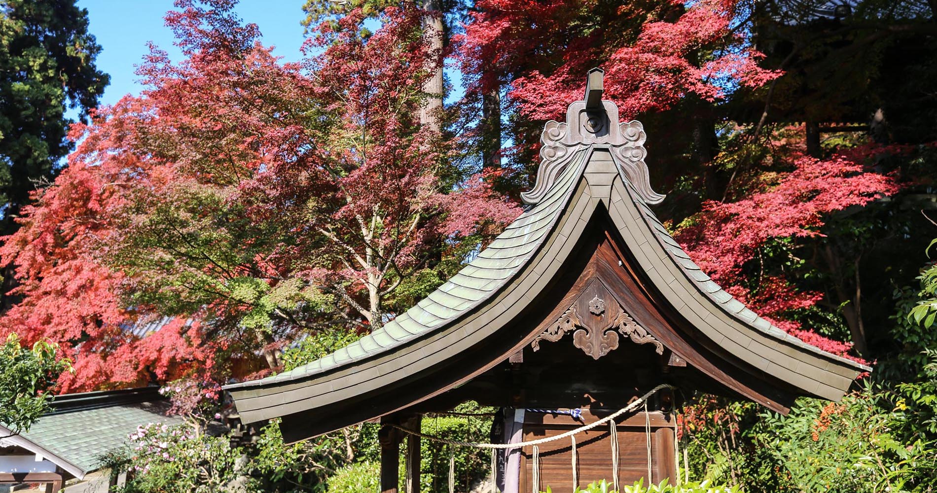 Dans les jardins de Shiromineji