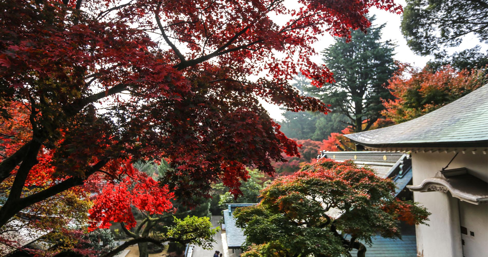 L’automne s’est installé