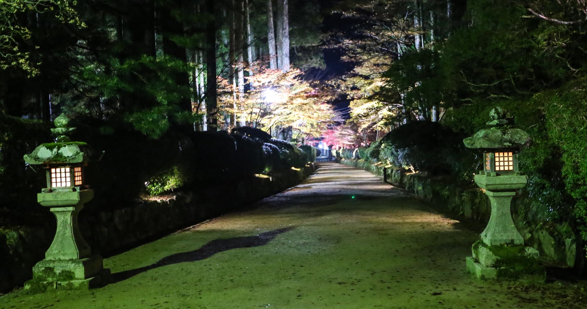 Chemin de retour vers notre monastère