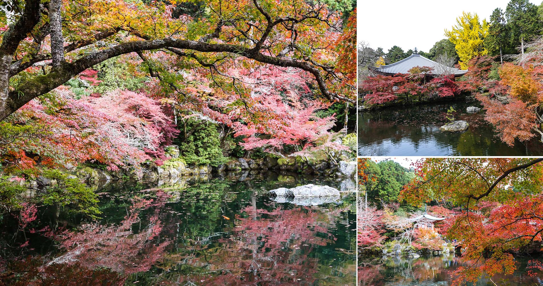 Automne dans les jardins du Daigo-ji