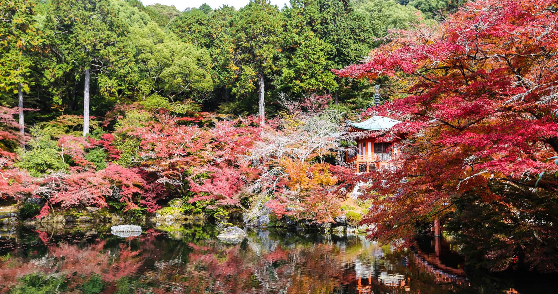Automne dans les jardins du Daigo-ji
