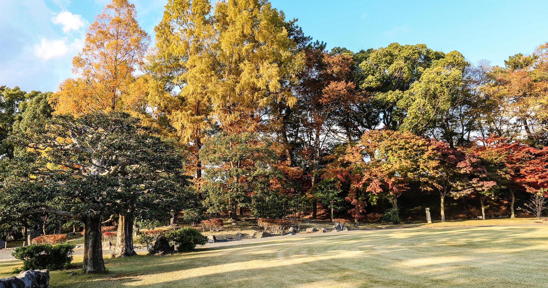 Dans le parc de Nijo-jo