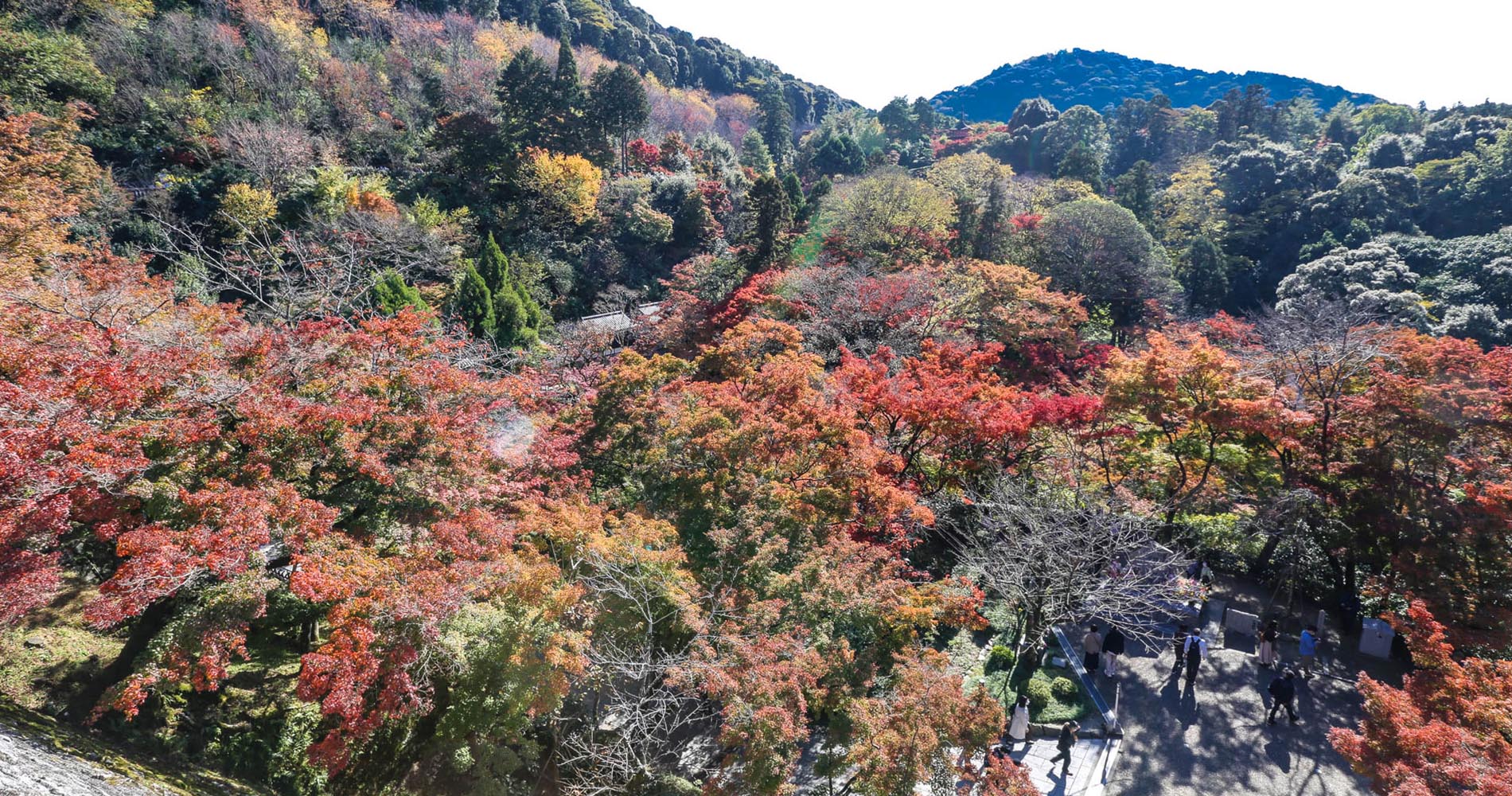 Depuis la terrasse de Kiyomizudera