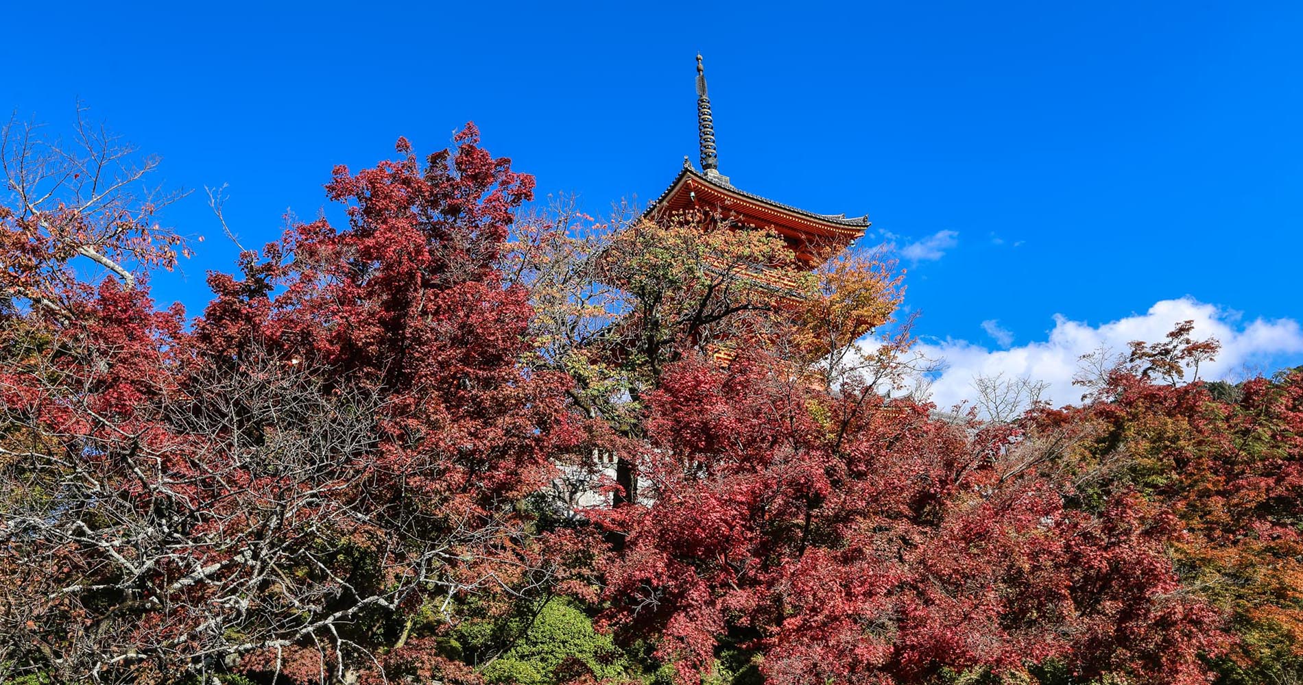 Kiyomizudera