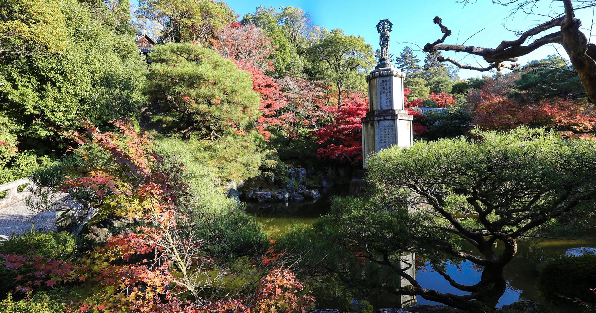 Jardin de Chion-in