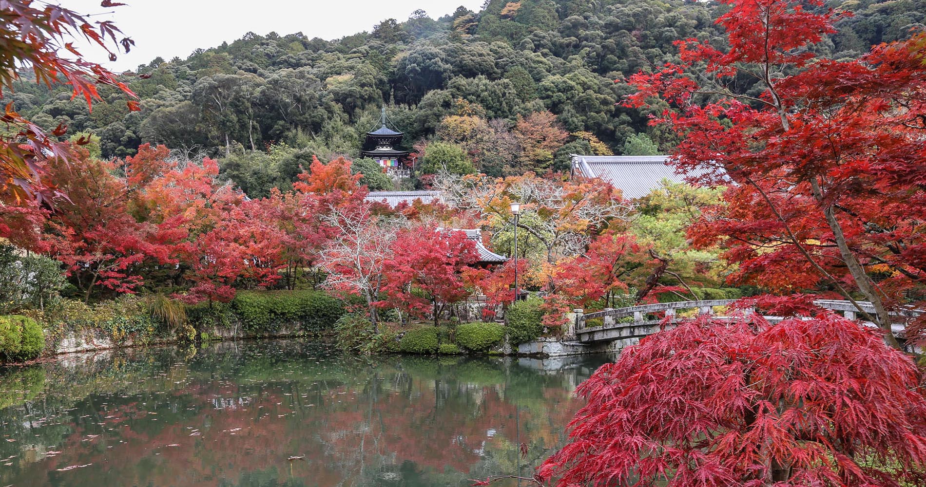 Etang du Zenrin-ji