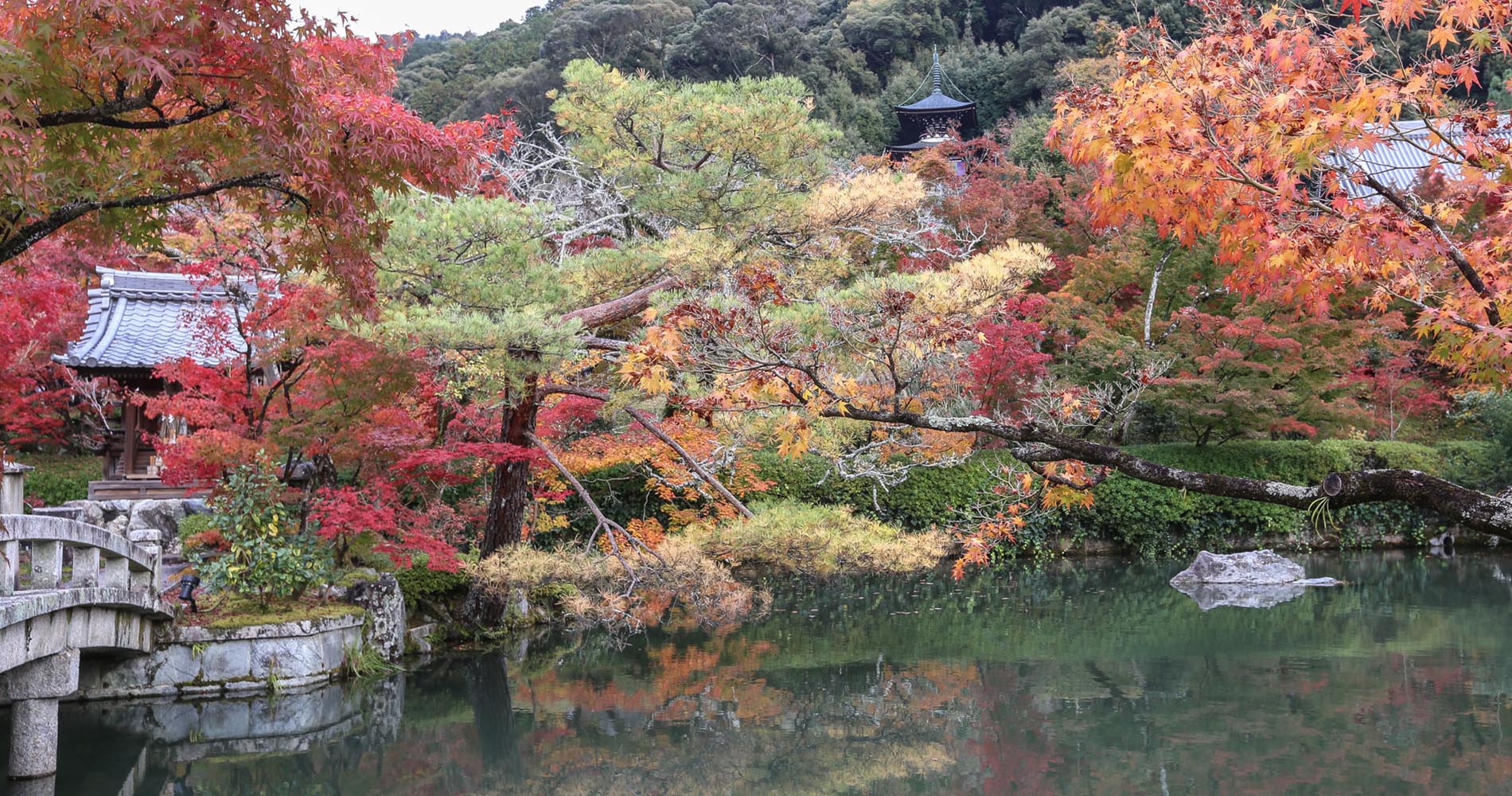 Etang du Zenrin-ji