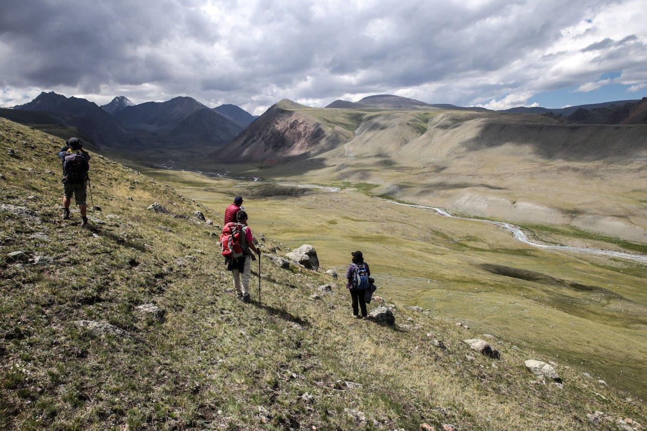 turgen mongolie Altai