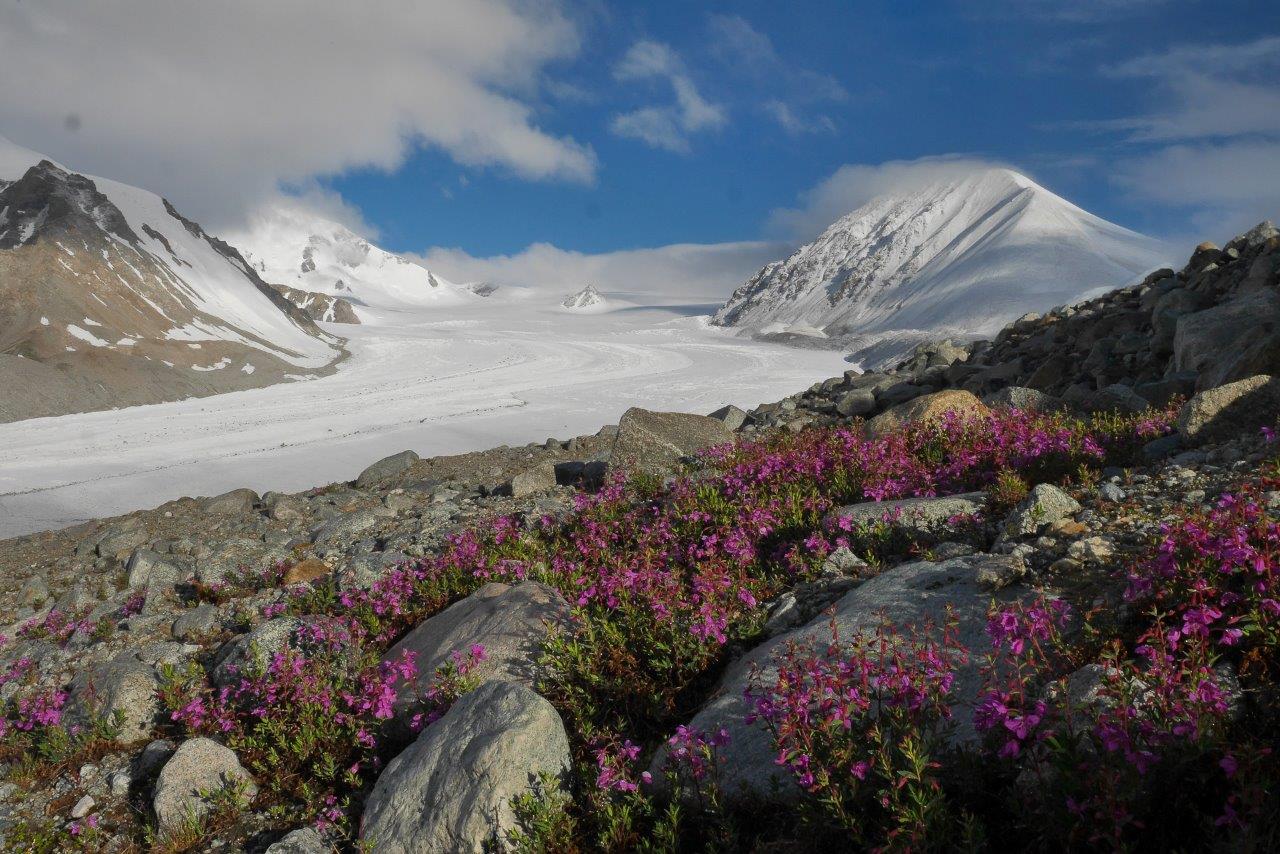 Le grand glacier de Potanine