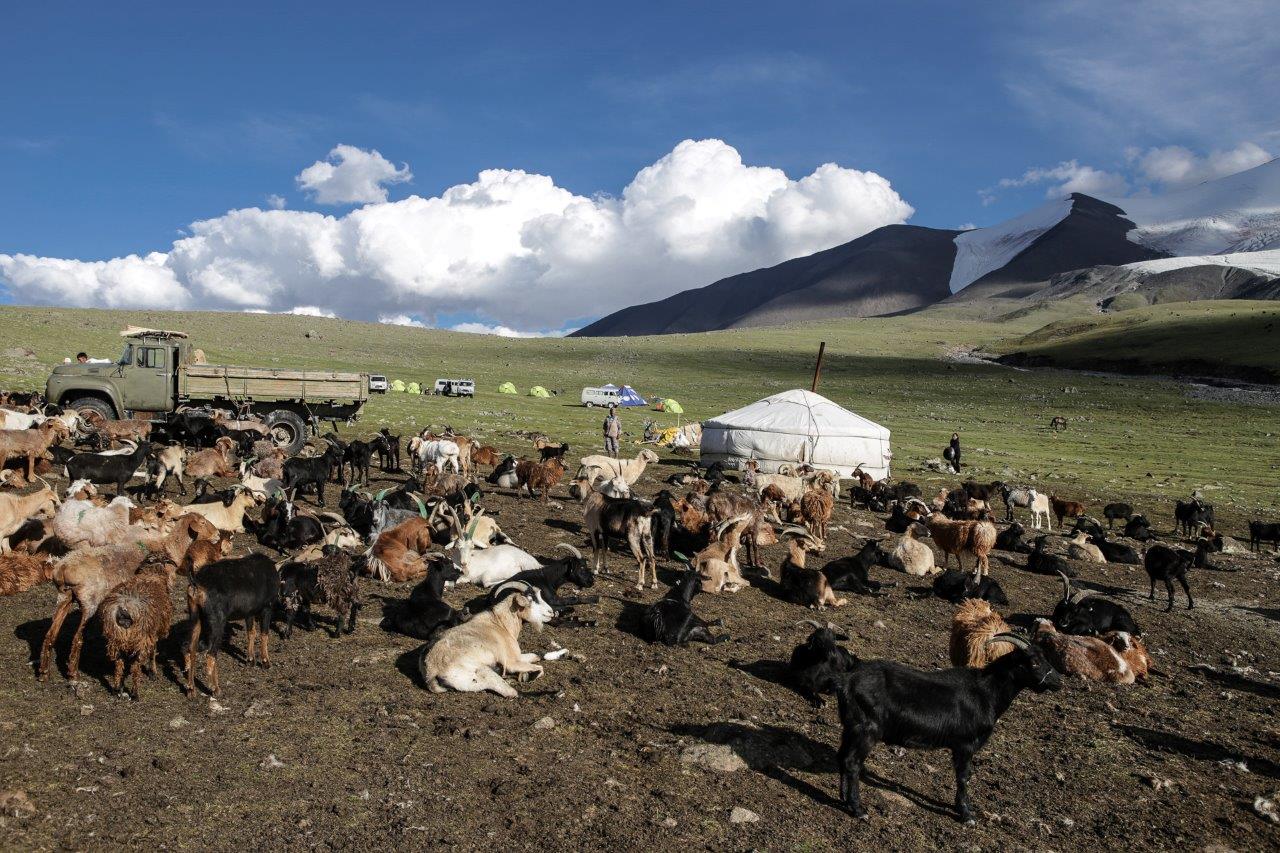 Nos voisins massif Tsambagarav